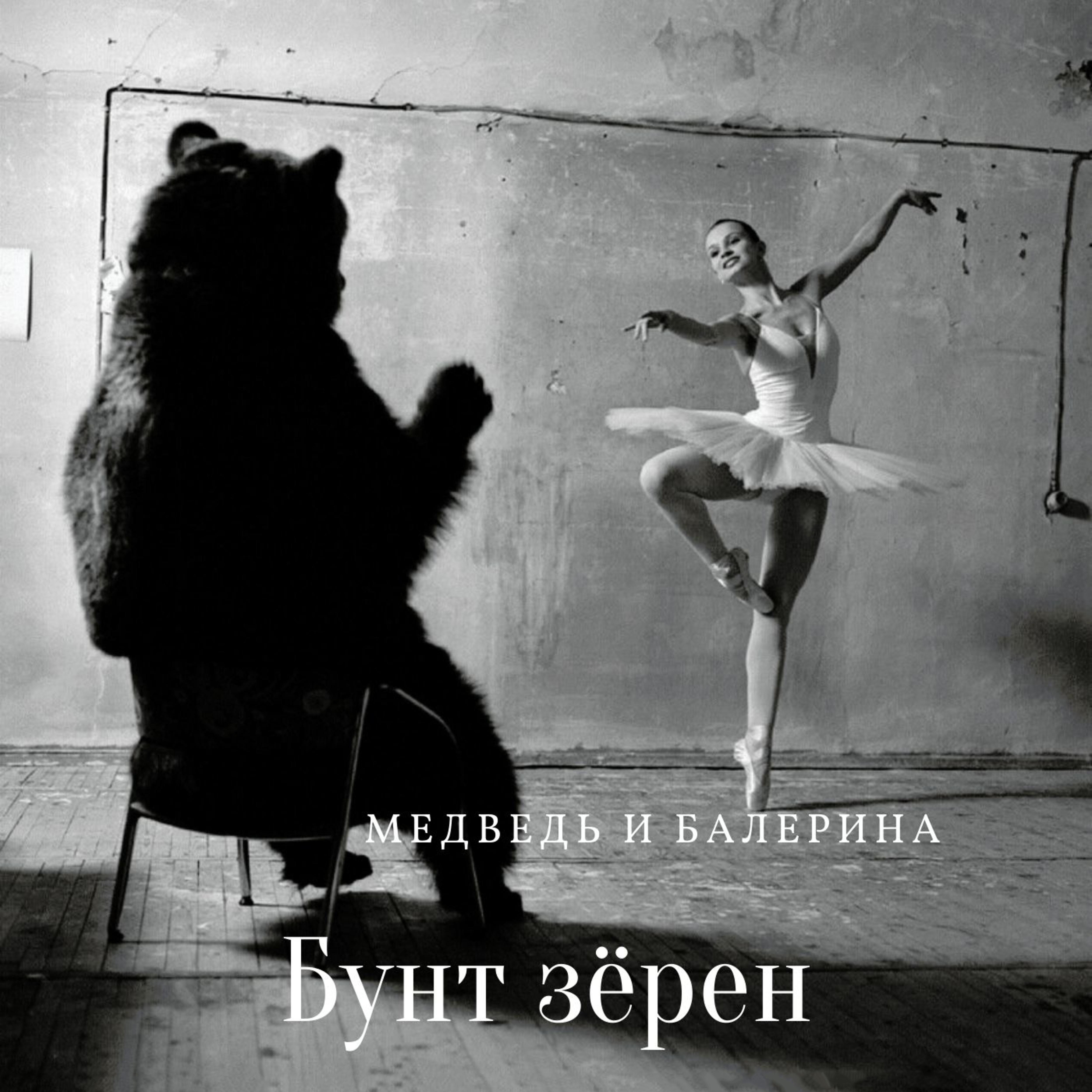 Постер альбома Медведь и балерина