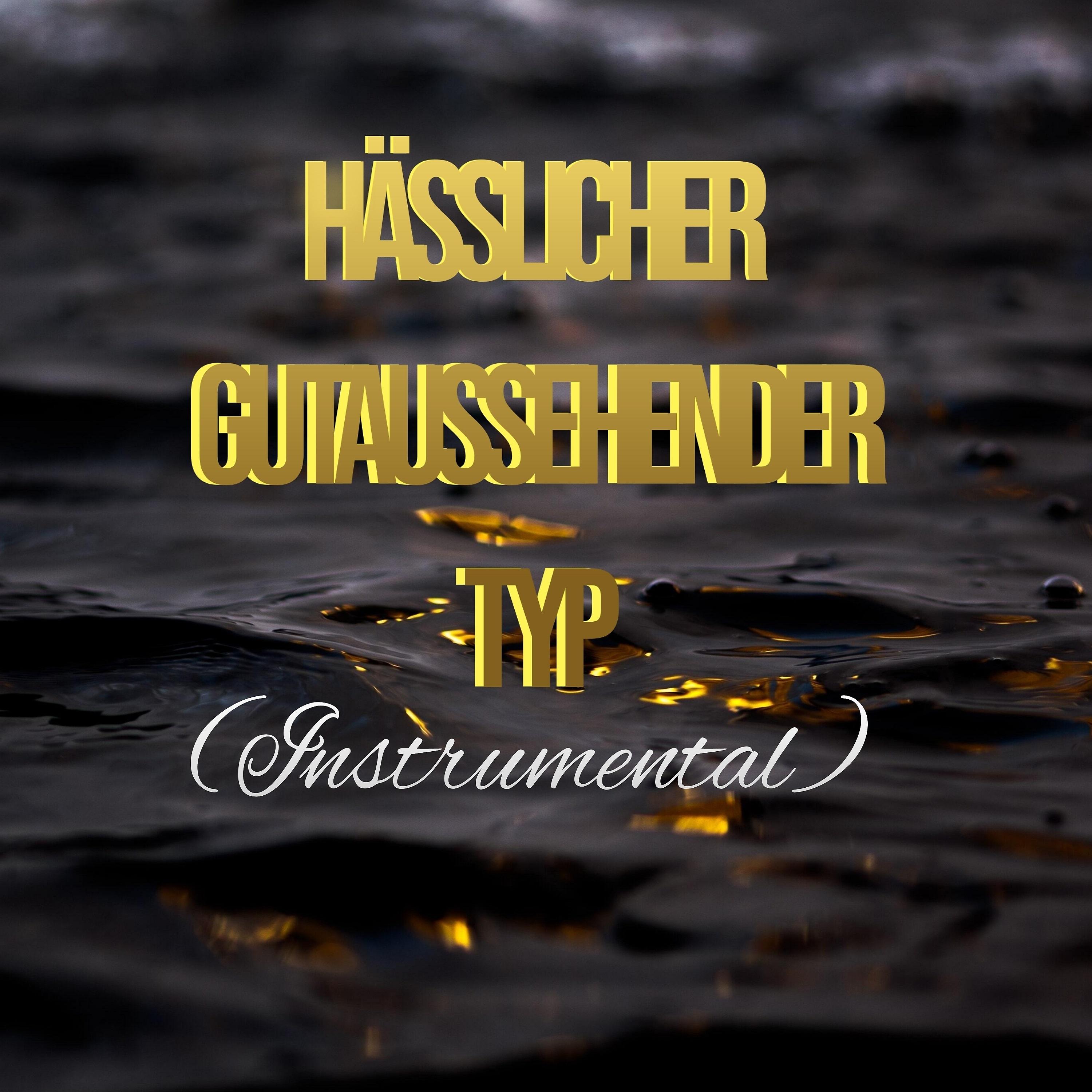 Постер альбома Hässlicher Gutaussehender Typ (Instrumental)