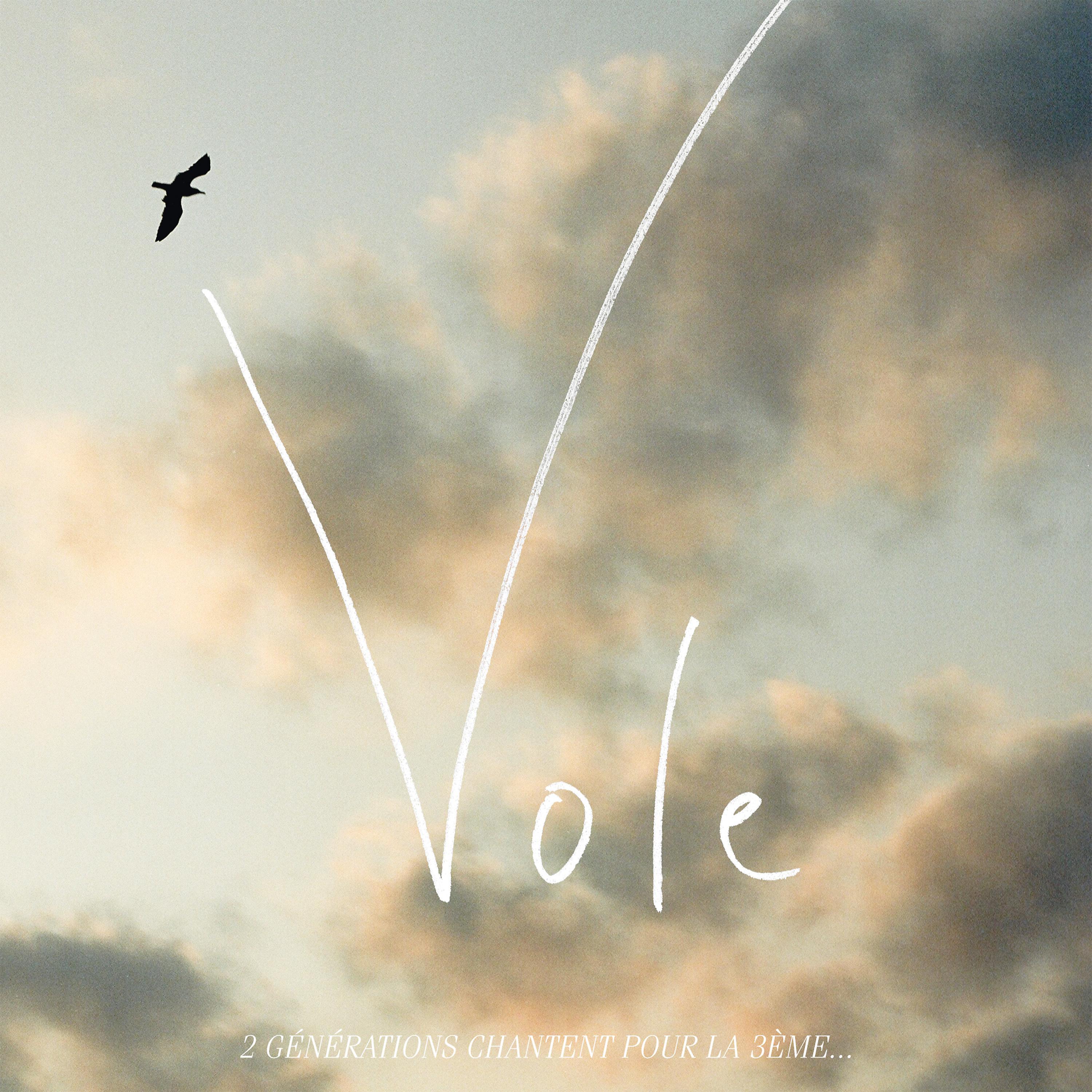 Постер альбома Vole (2 générations chantent pour la 3ème) - Single