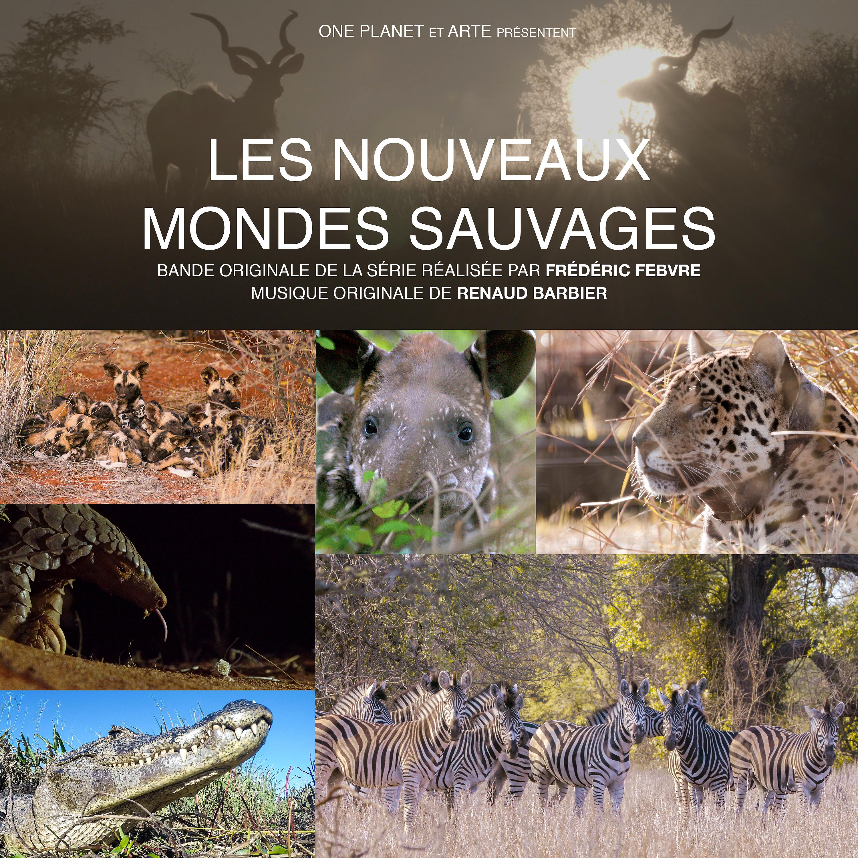 Постер альбома Les nouveaux mondes sauvages (Bande originale de la série télévisée)