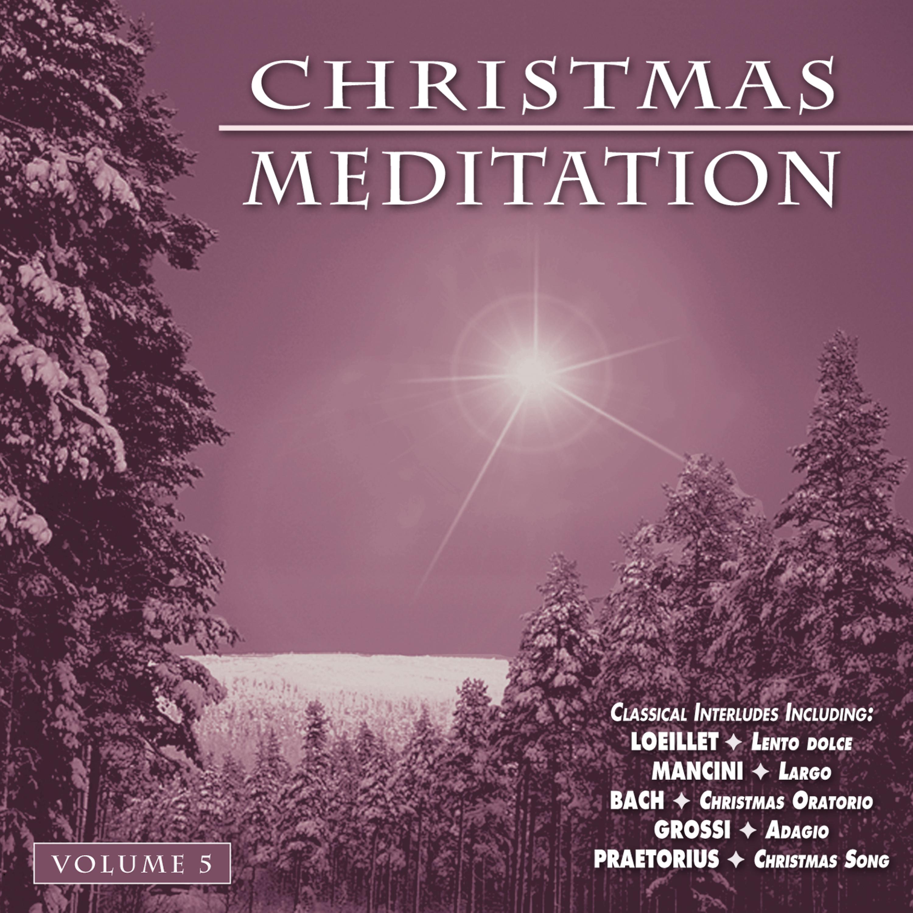 Постер альбома Christmas Meditation - Vol. 5