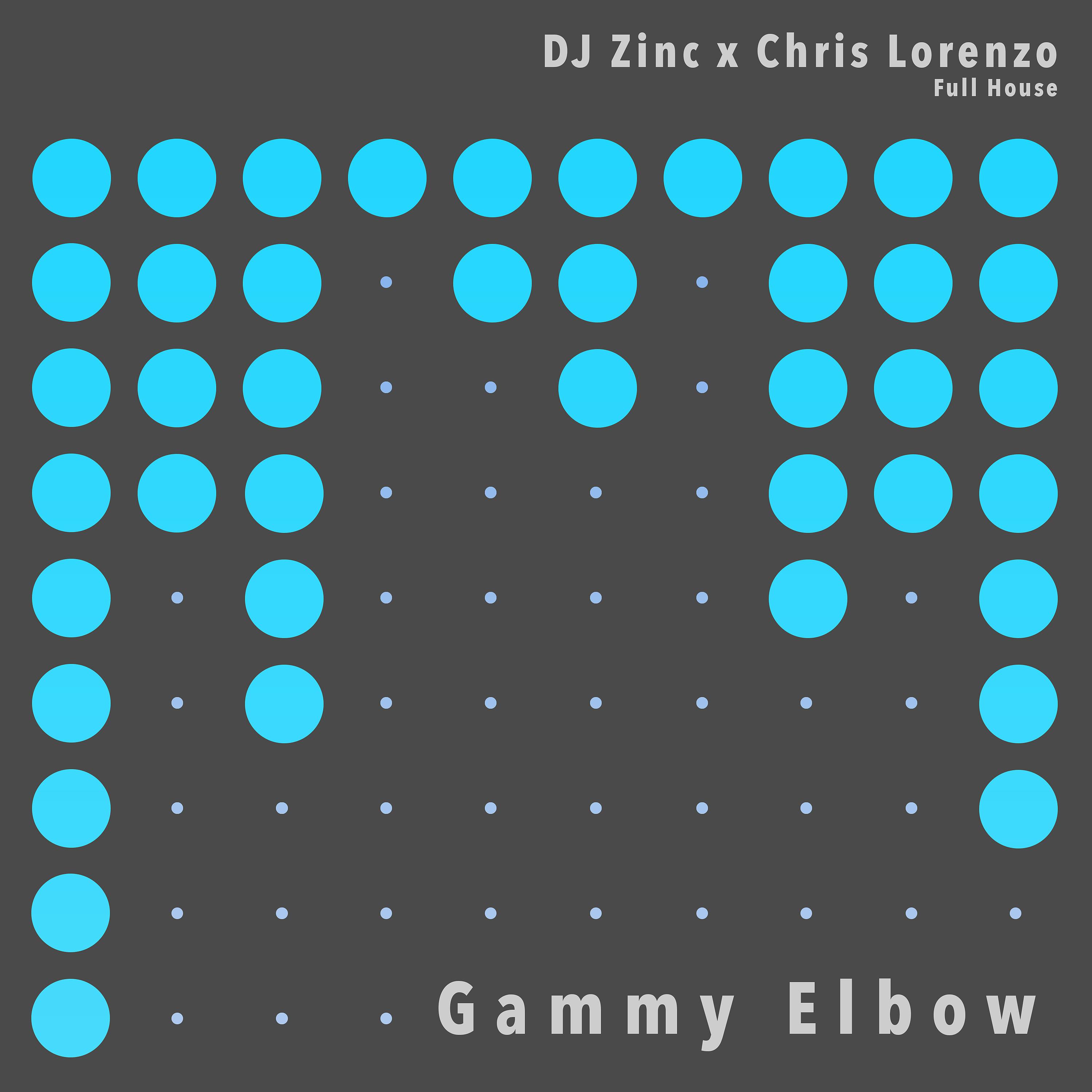 Постер альбома Gammy Elbow
