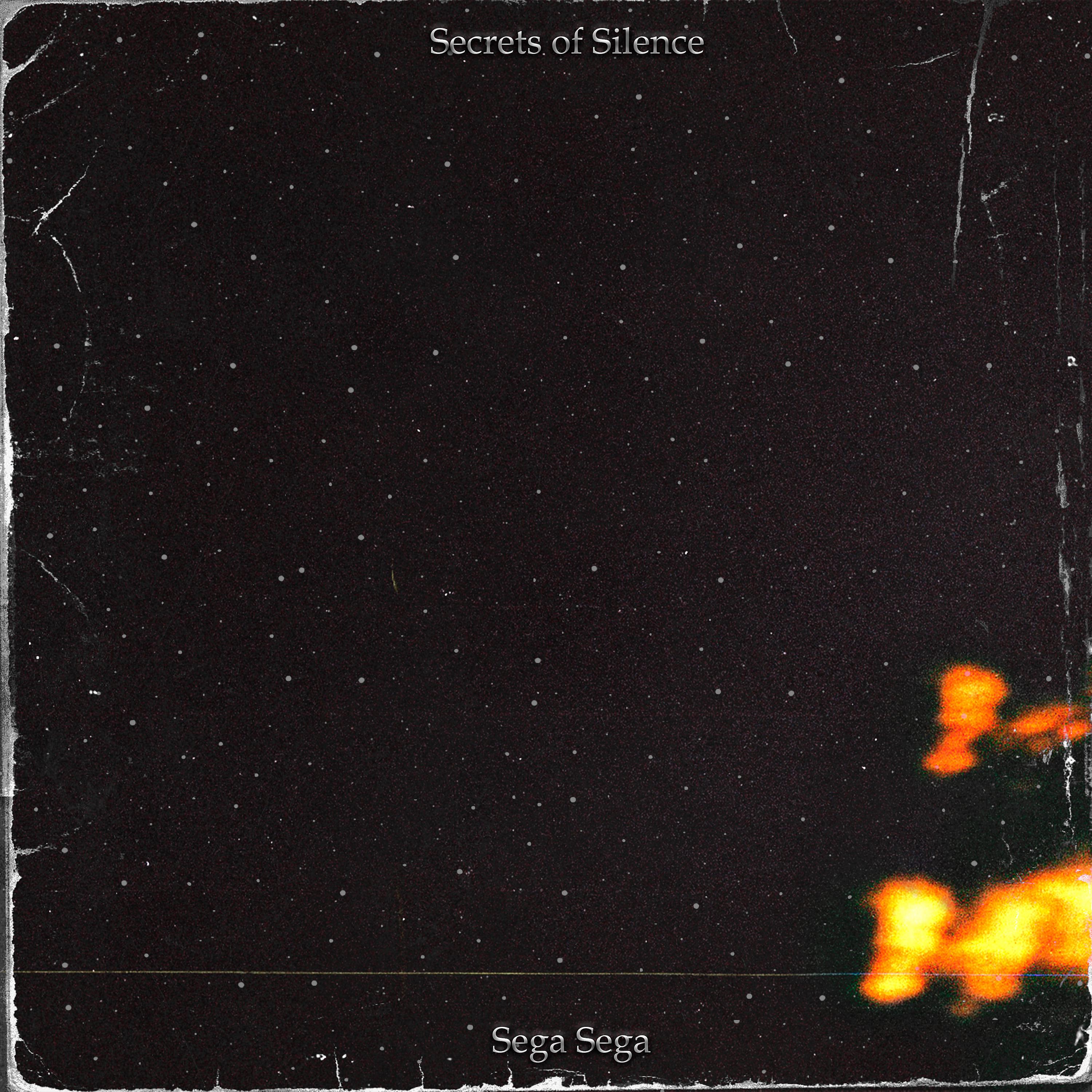 Постер альбома Secrets of Silence