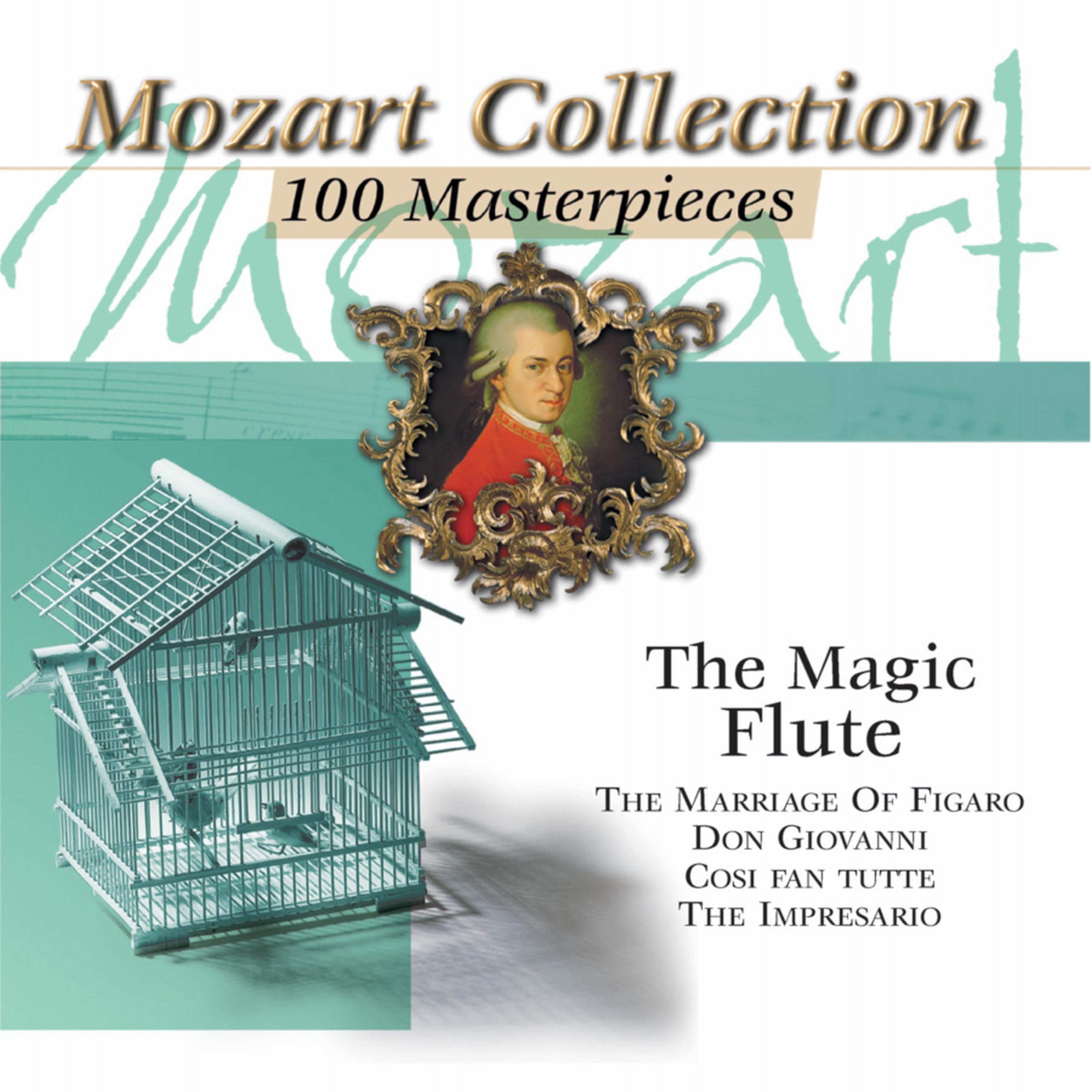 Постер альбома Mozart Vol. 10: Magic Flute