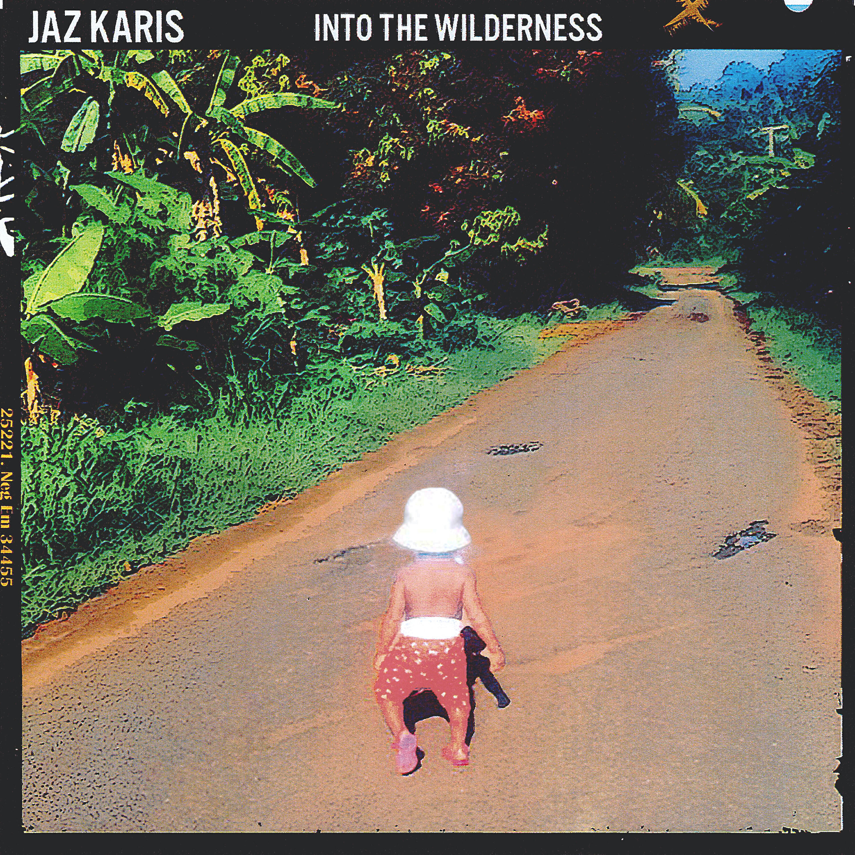 Jaz Karis - Want