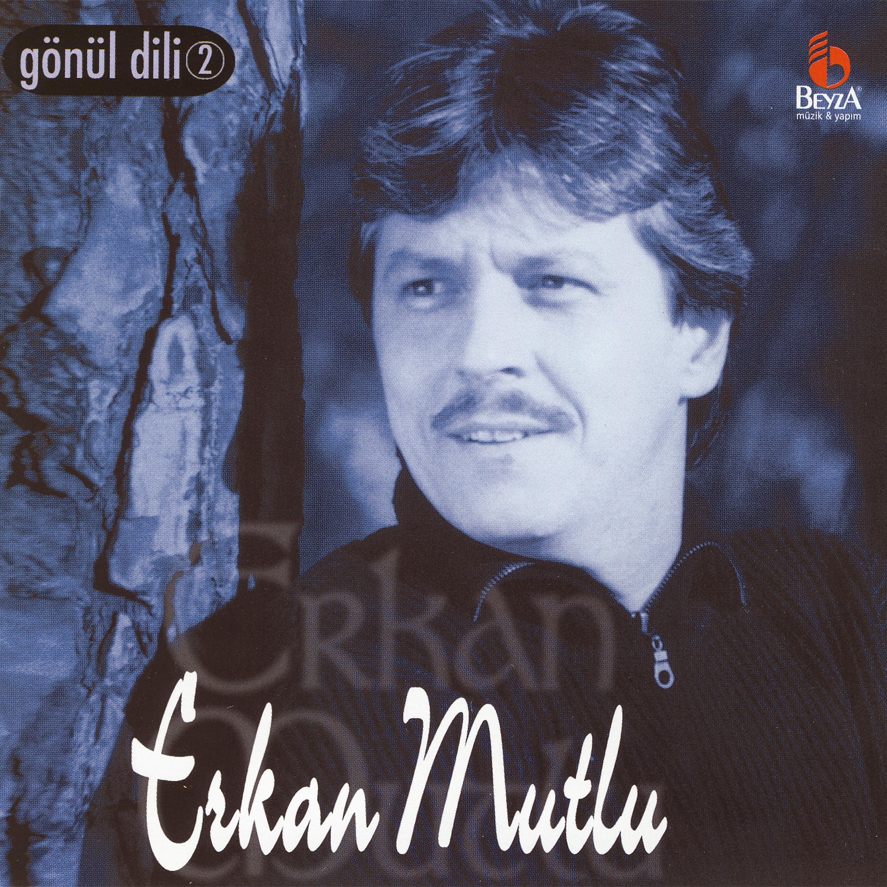 Постер альбома Gönül Dili, Vol.2