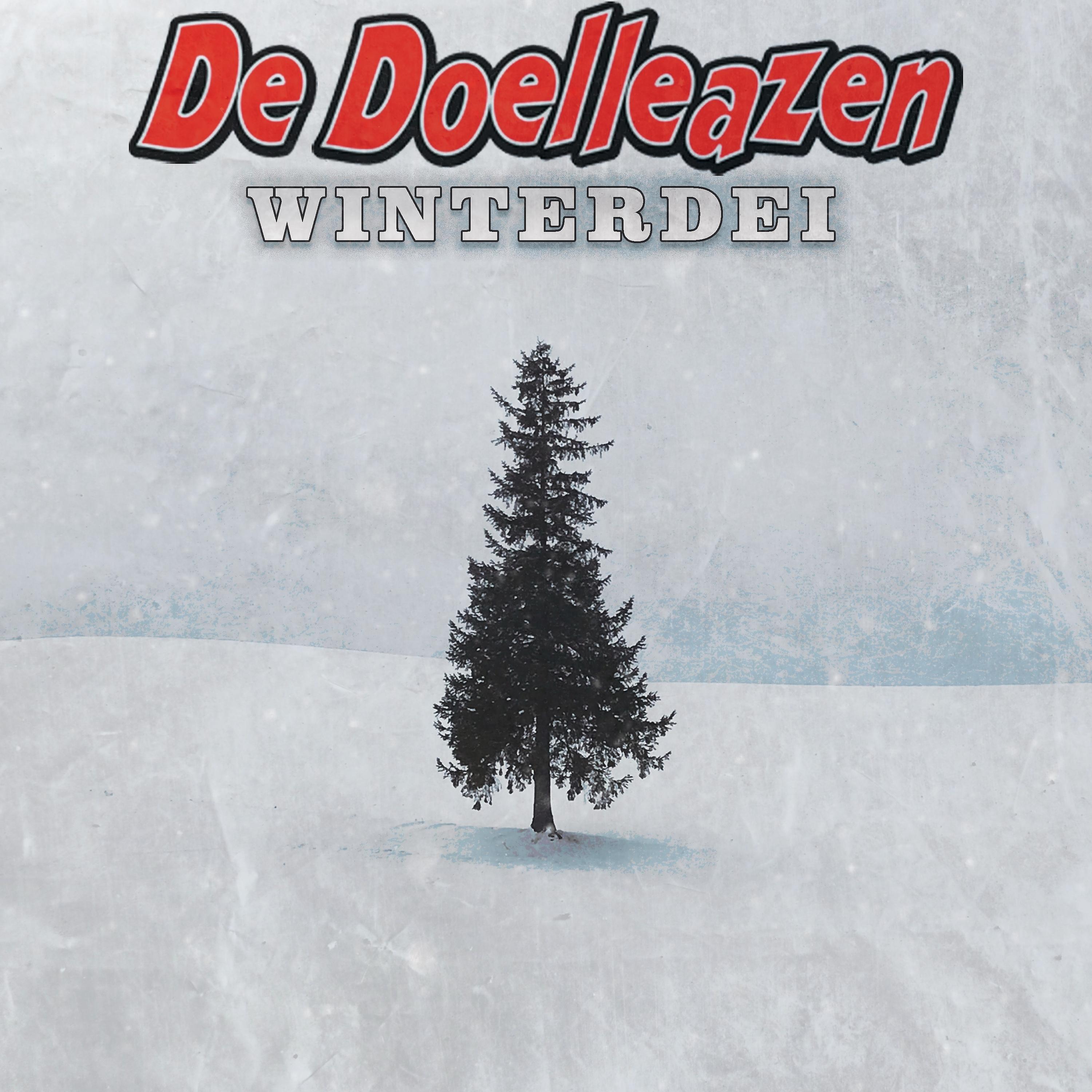 Постер альбома Winterdei