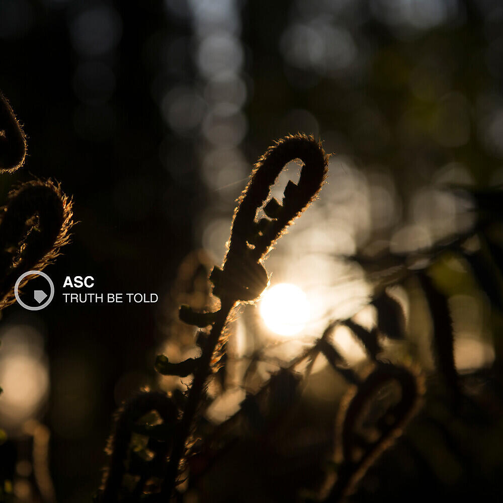 ASC - Slow Autumn