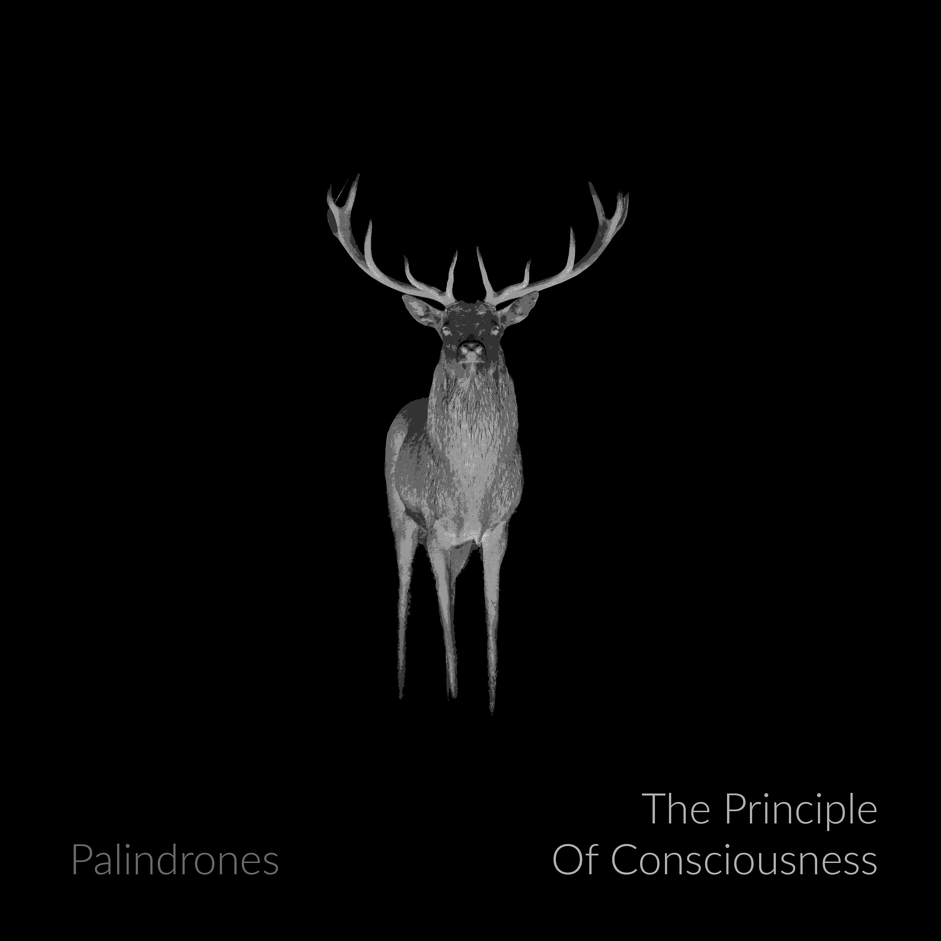 Постер альбома The Principle of Consciousness