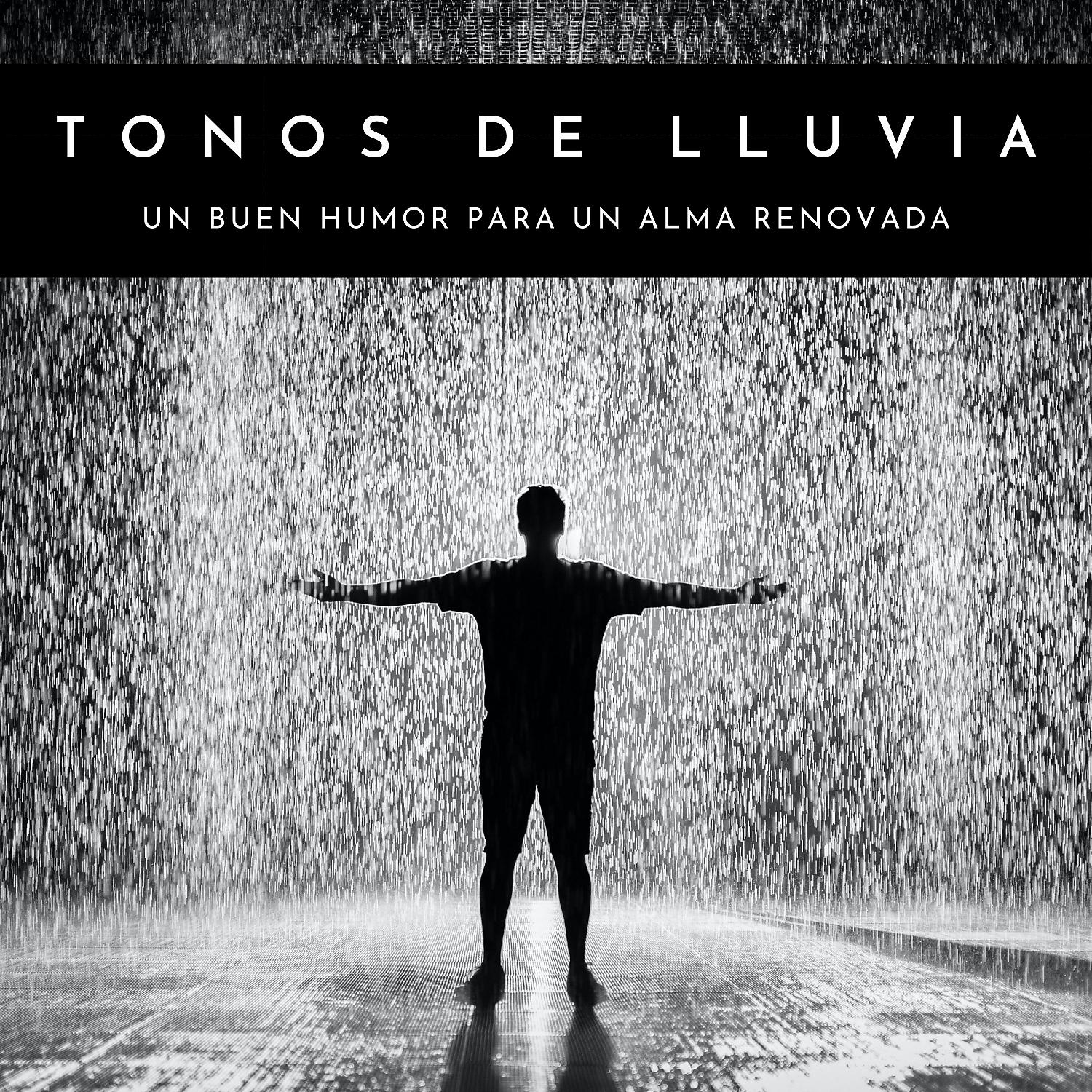 Постер альбома Tonos De Lluvia: Un Buen Humor Para Un Alma Renovada