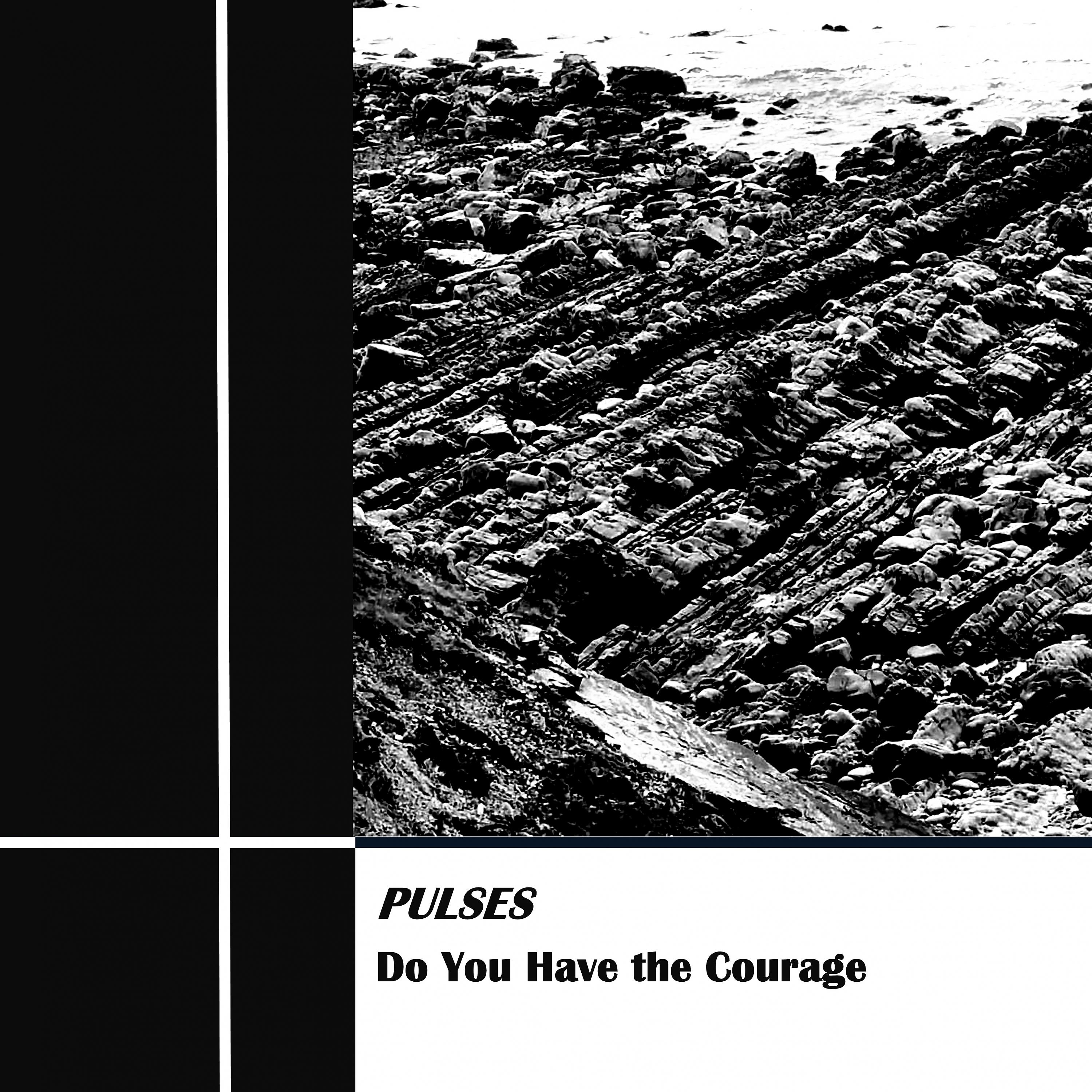 Постер альбома Do You Have the Courage