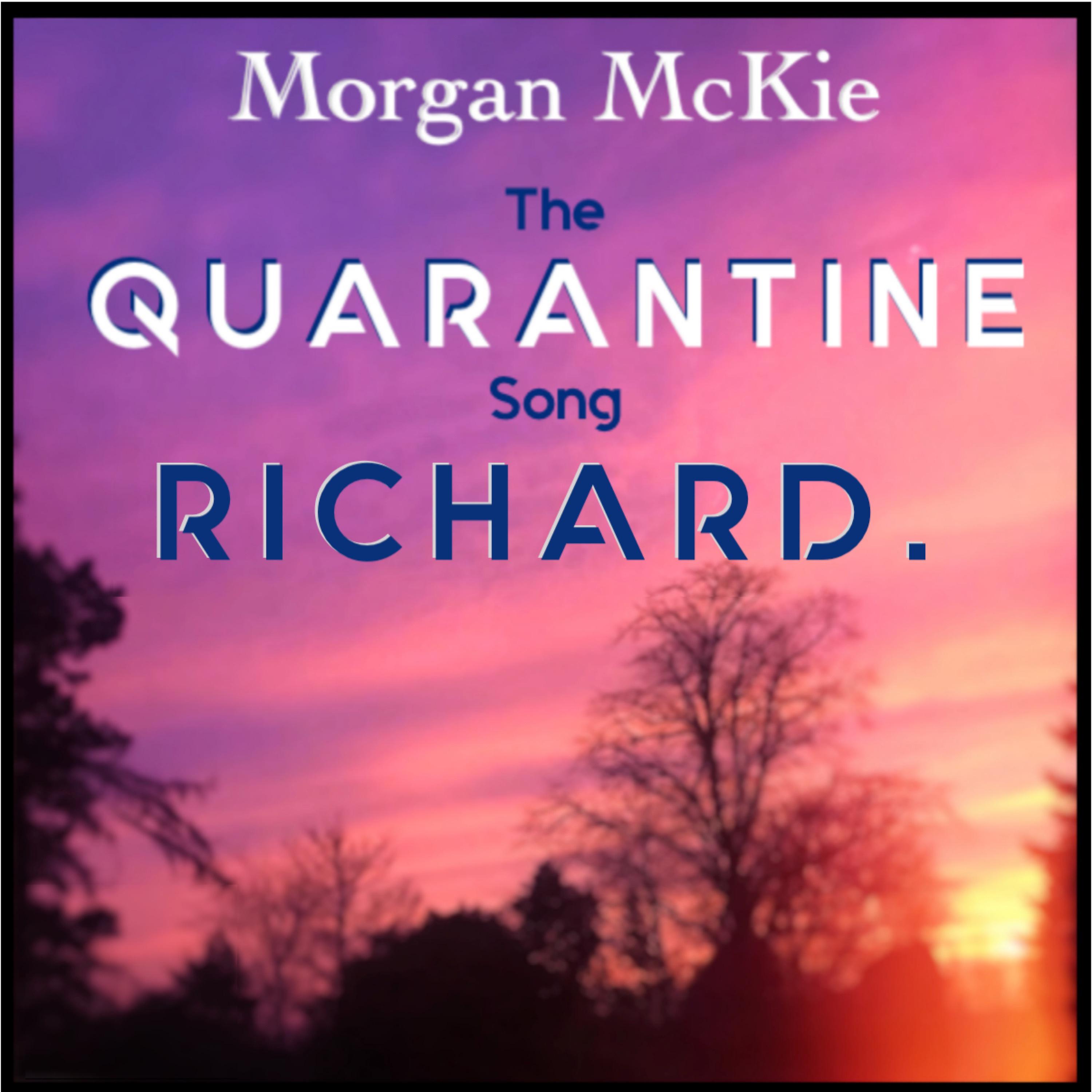 Постер альбома The Quarantine Song