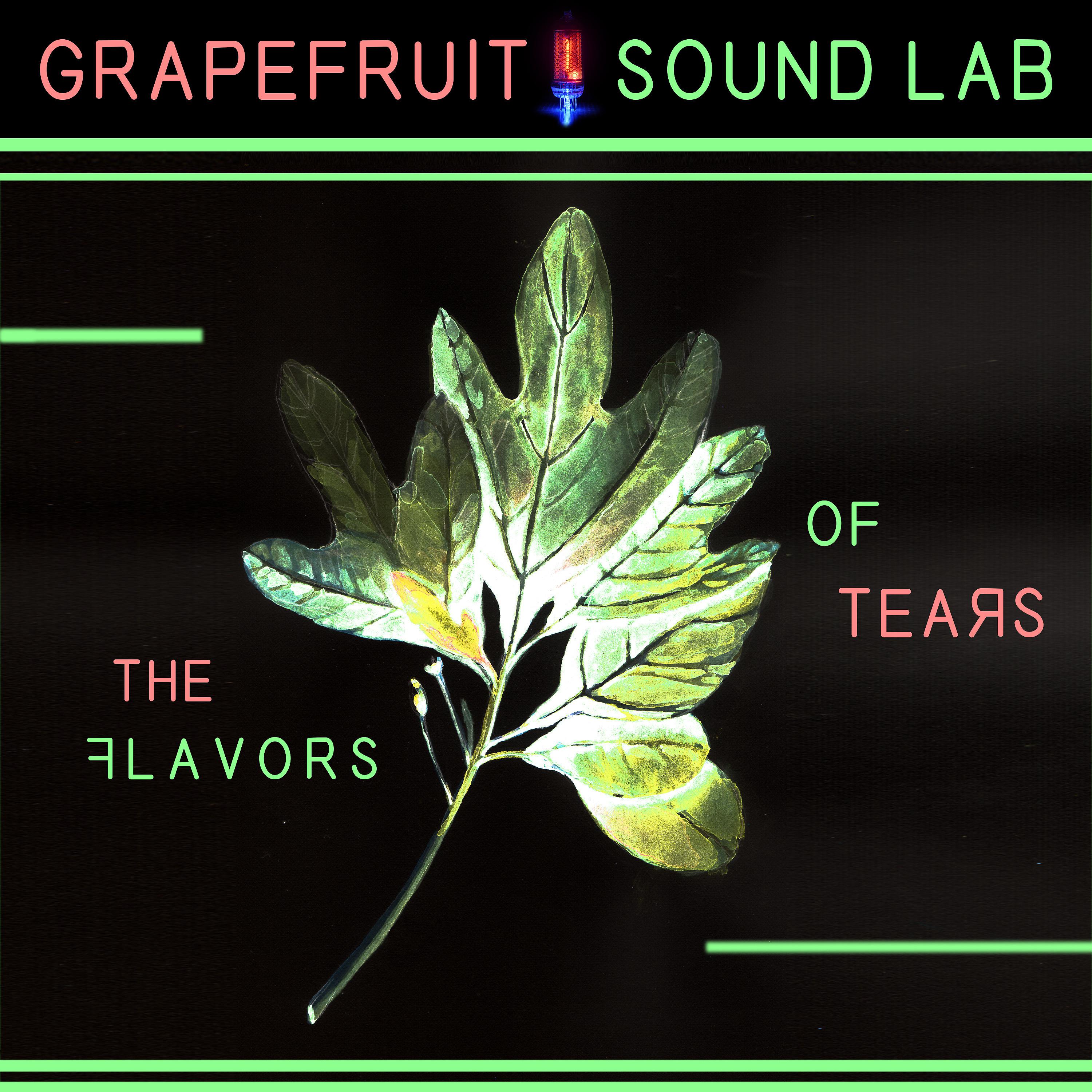Постер альбома The Flavors of Tears