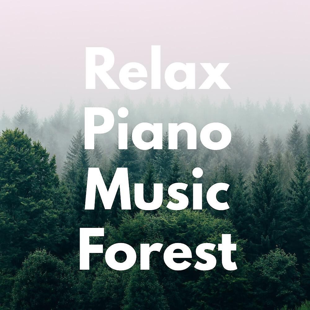 Exams Study - Forest Trip (Original Mix)
