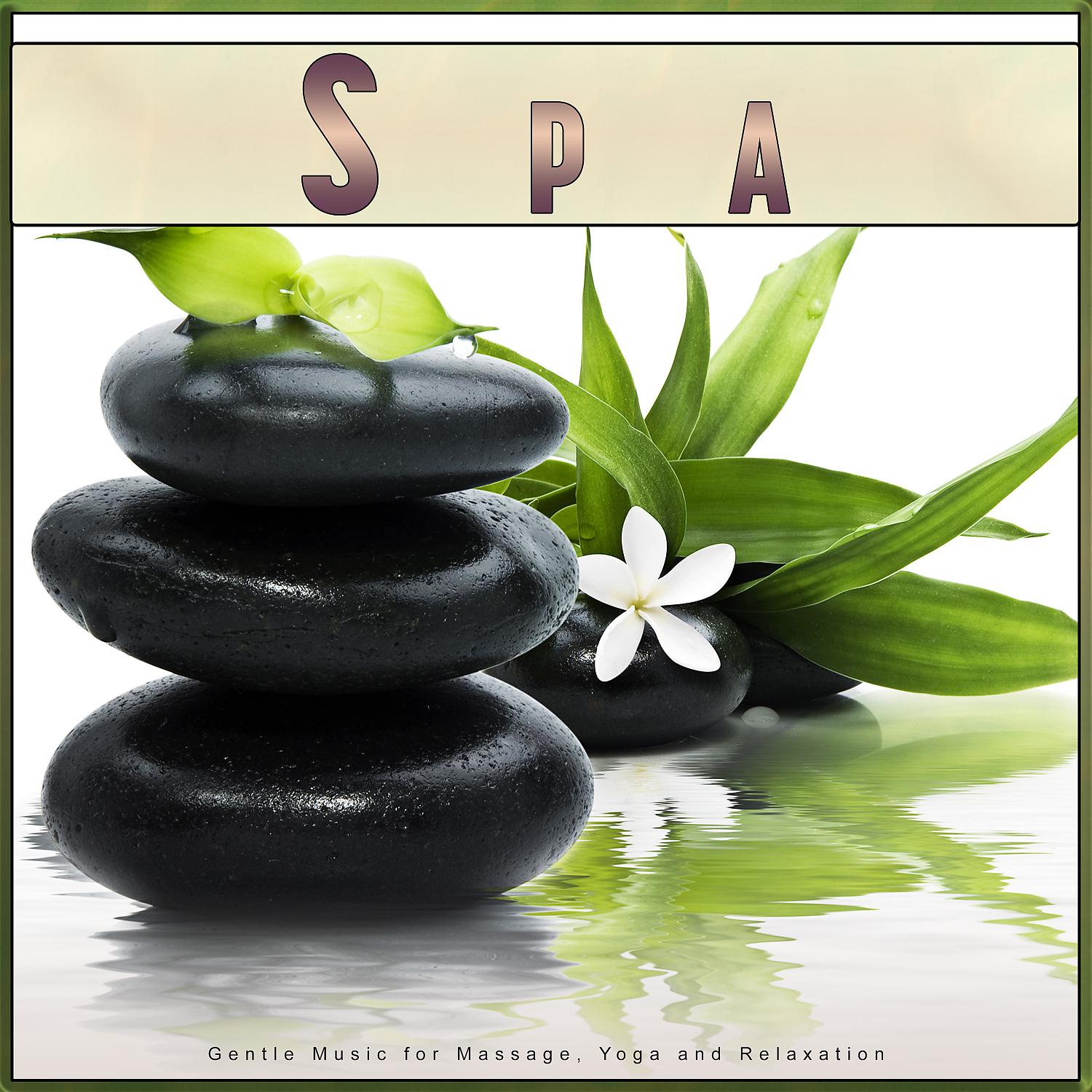 Постер альбома Spa: Gentle Music for Massage, Yoga and Relaxation