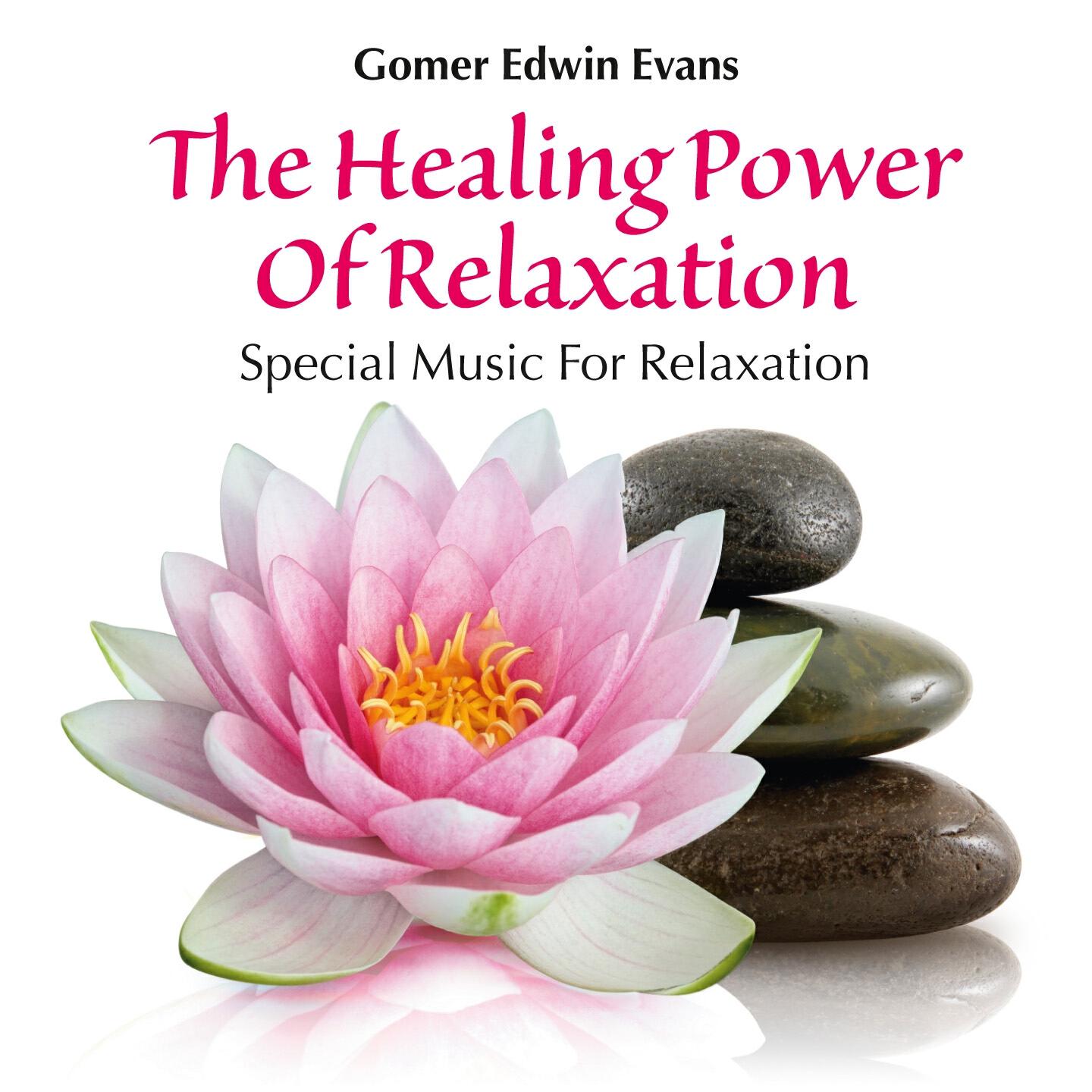Gomer Edwin Evans - Receiving Healing Sounds, Pt. 4