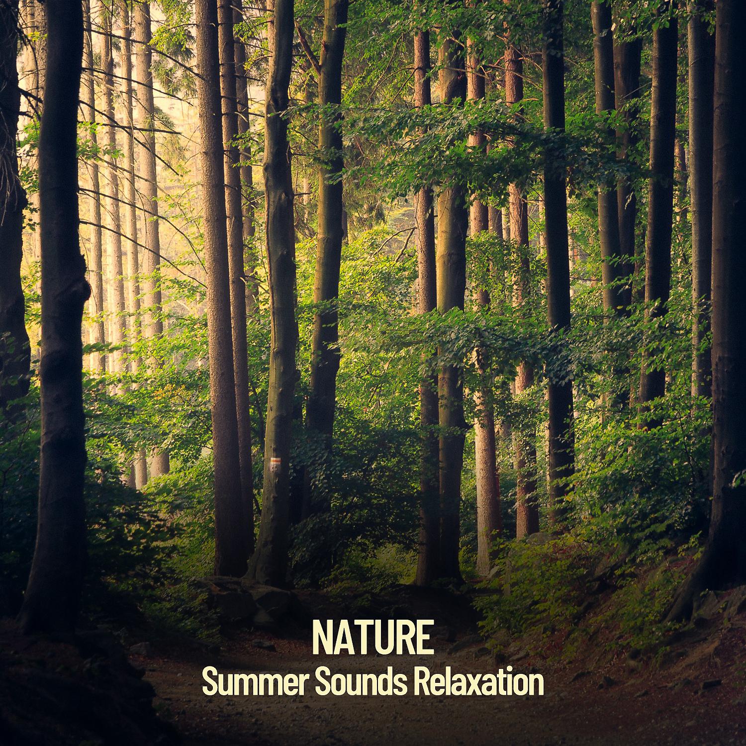Постер альбома Nature Sounds: Nature Sounds for Relaxation