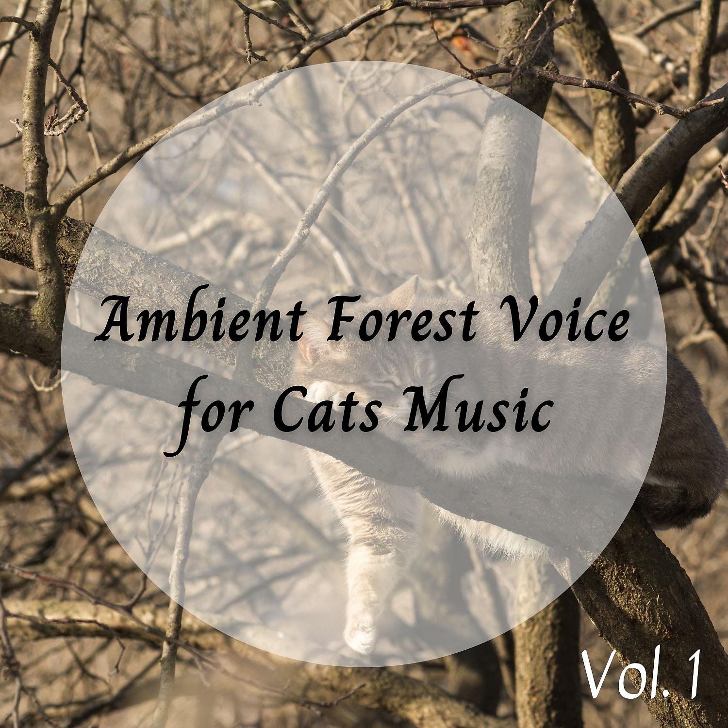Постер альбома Ambient Forest Voice for Cats Music Vol. 1