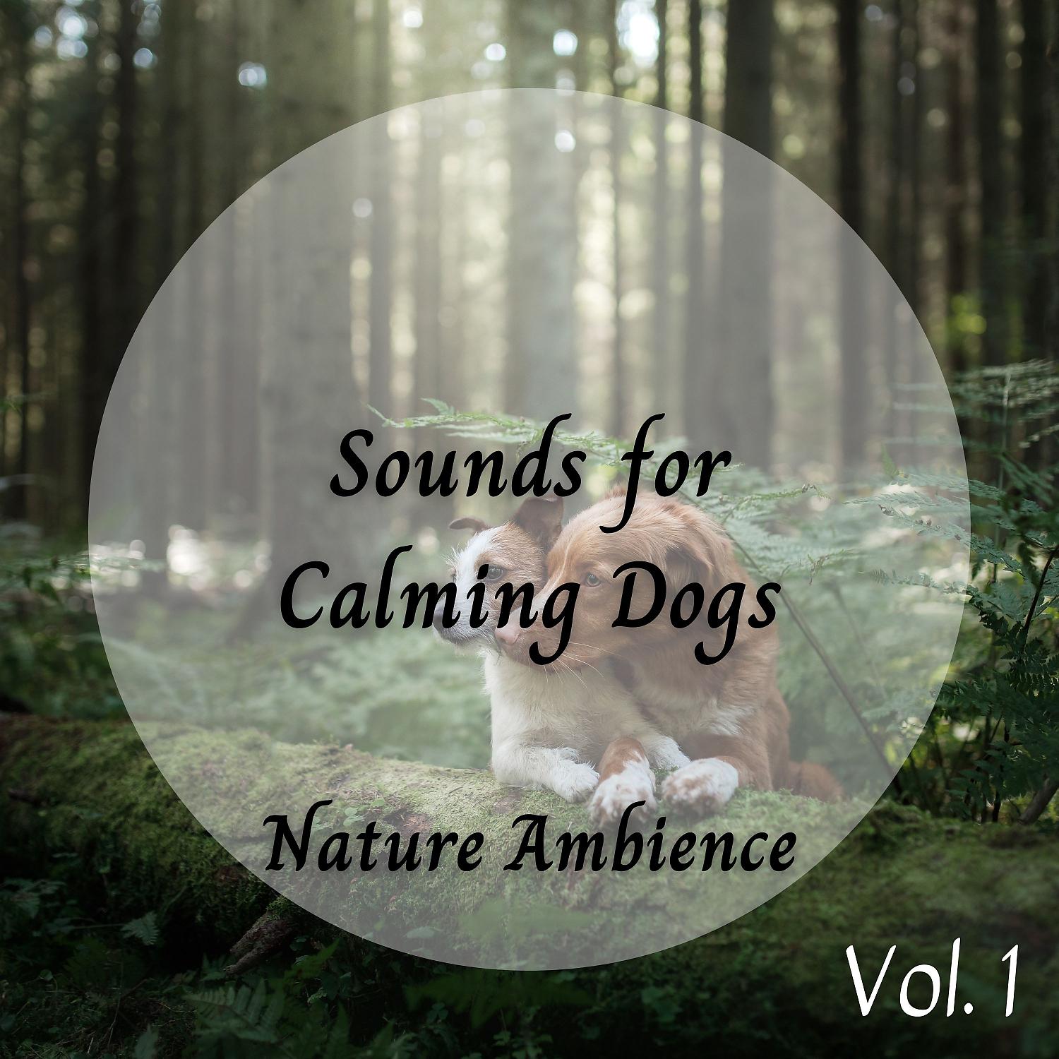 Постер альбома Nature Ambience: Sounds for Calming Dogs Vol. 1
