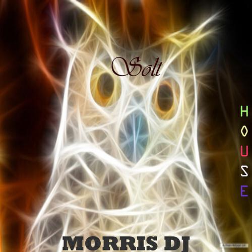 Morris DJ - Device