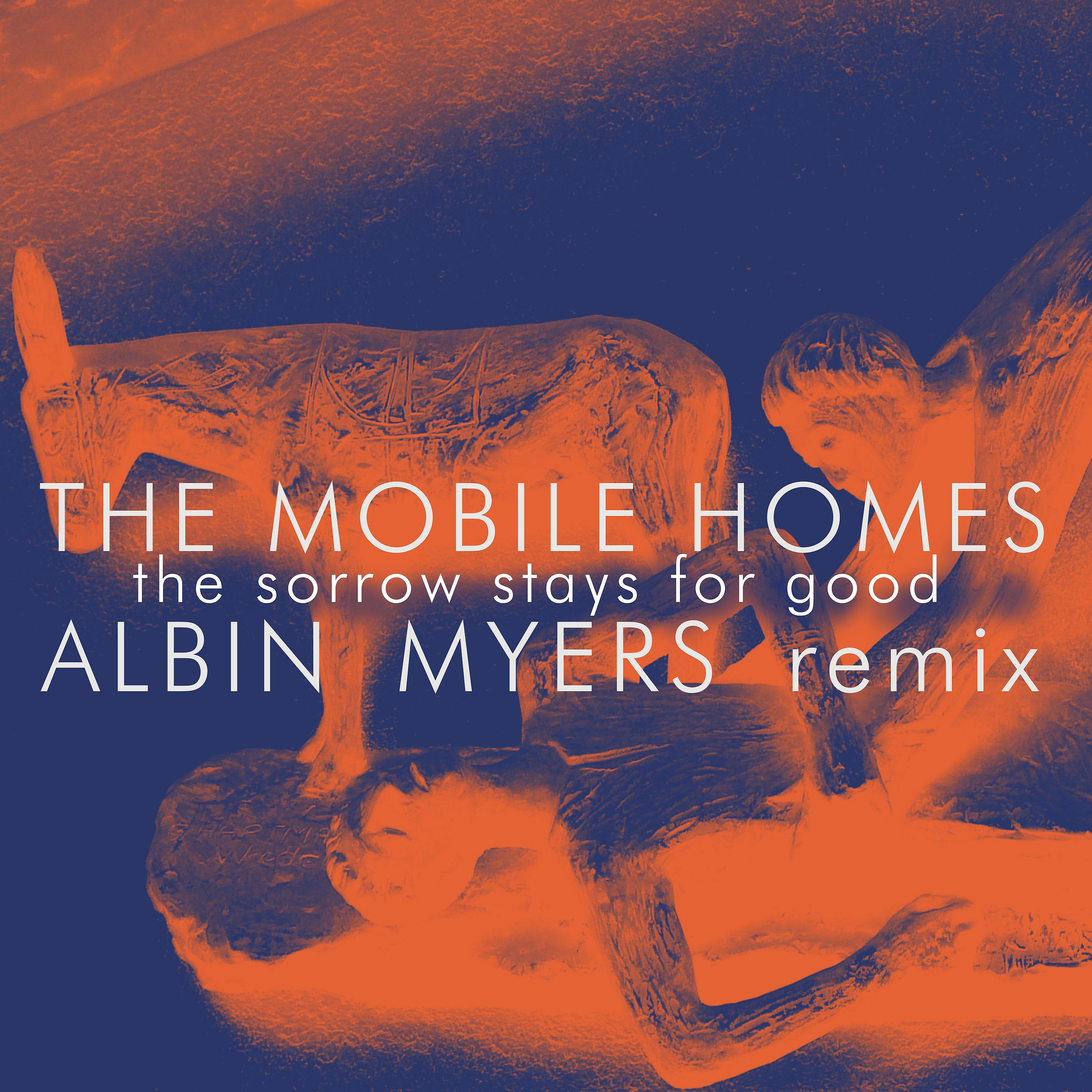 Постер альбома The Sorrow Stays for Good (Albin Myers Remix (Radio Edit))