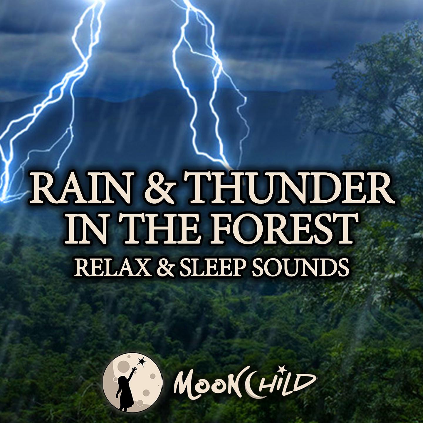 Постер альбома Rain and Thunder in the Forest