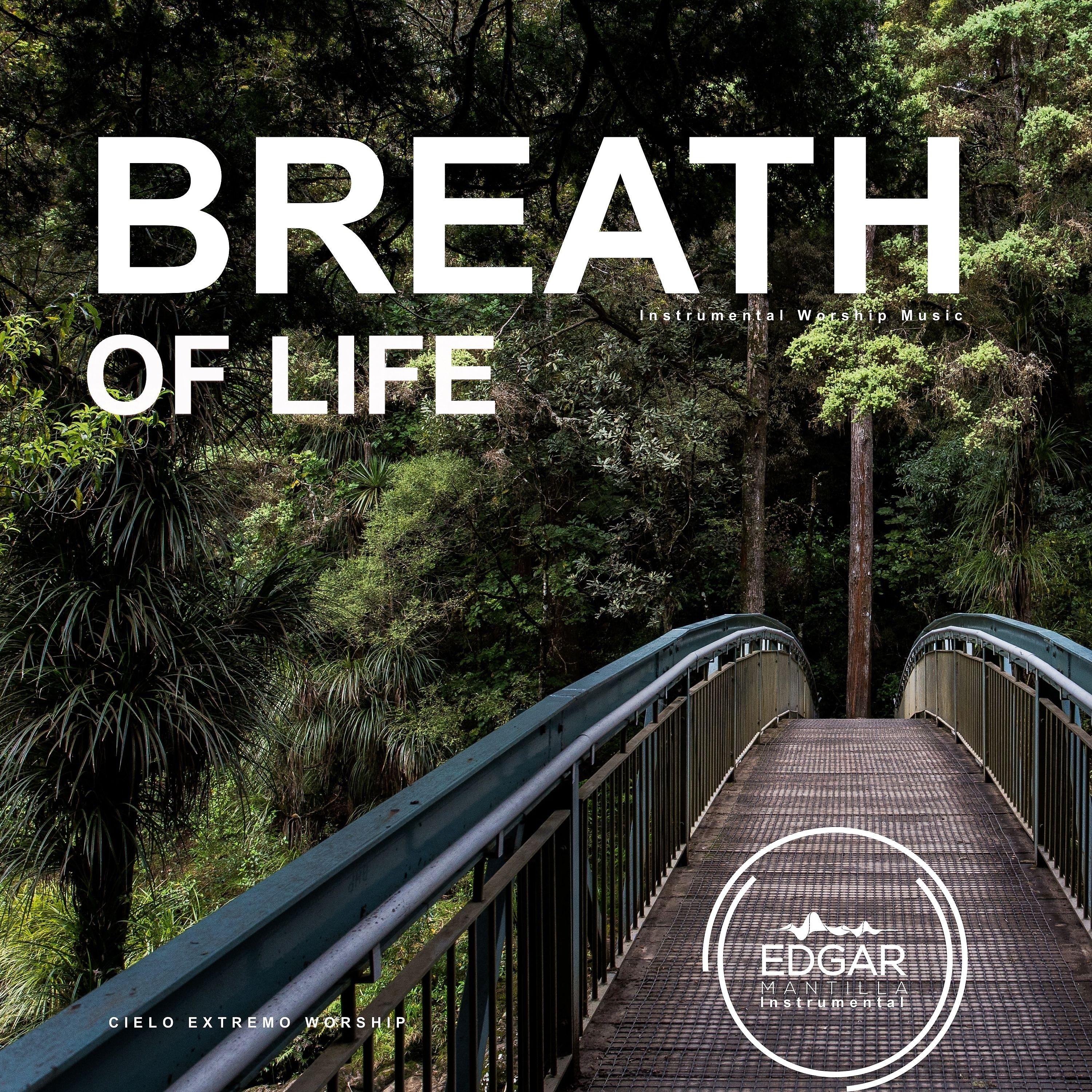 Постер альбома Breath Of Life (Instrumental Worship Music)