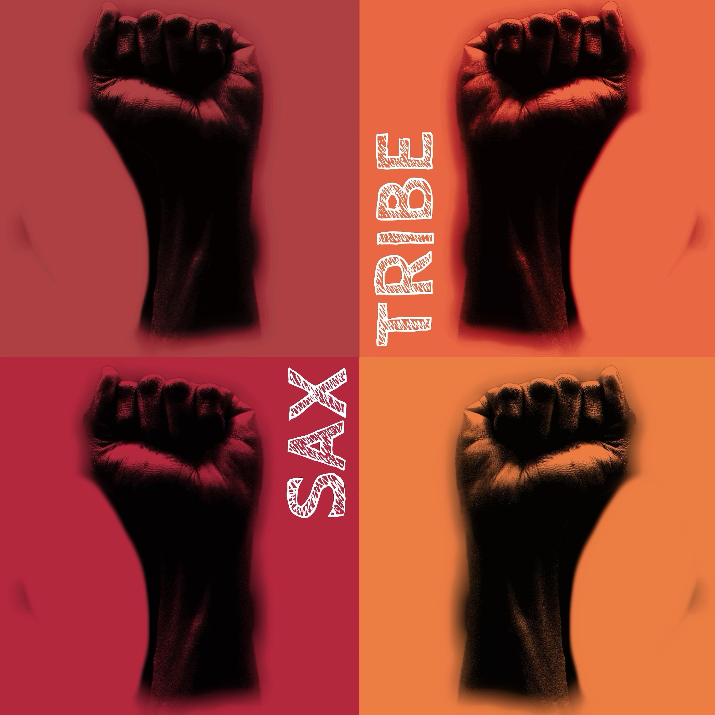 Постер альбома Sax Tribe