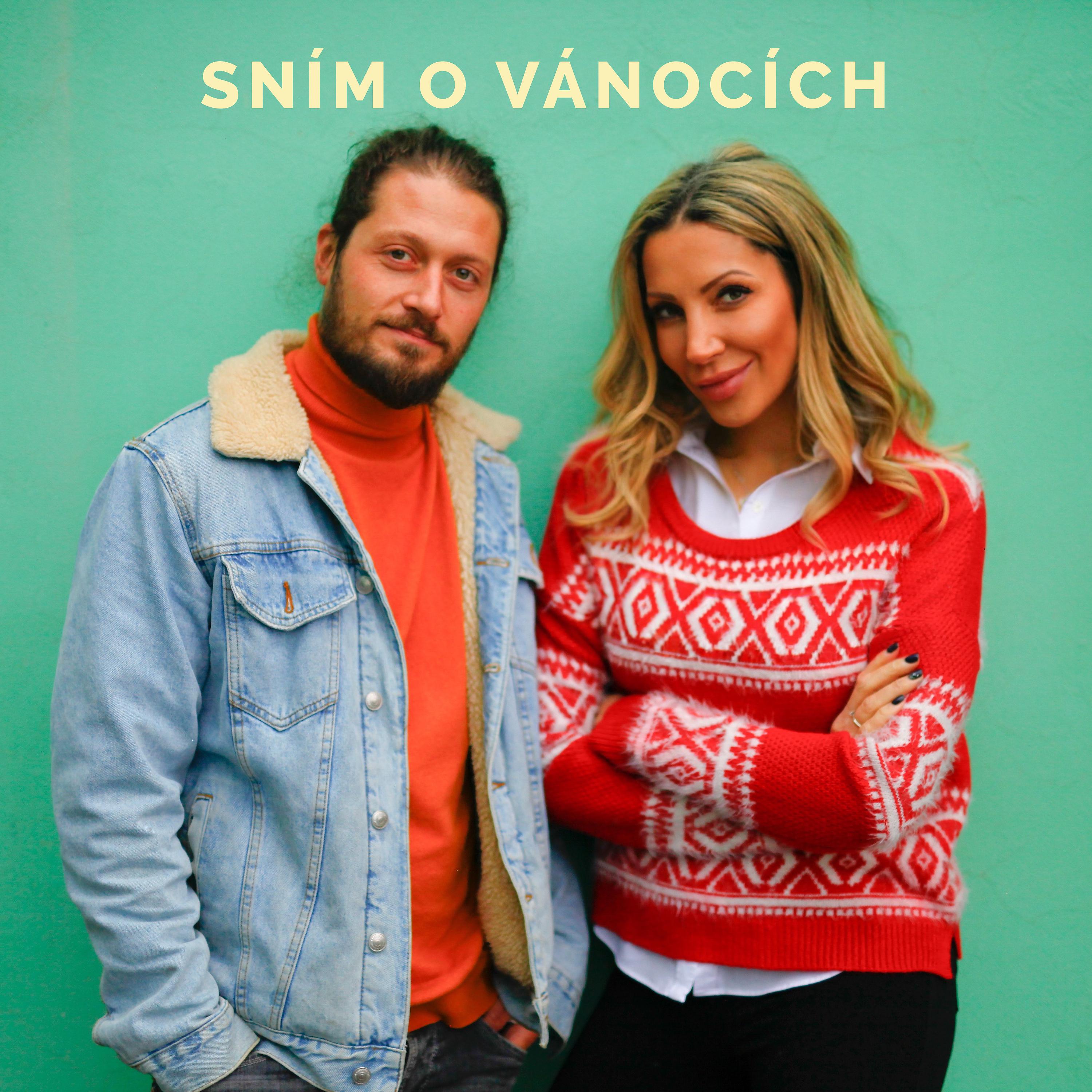 Постер альбома Sním o Vánocích (feat. Olga Lounová)
