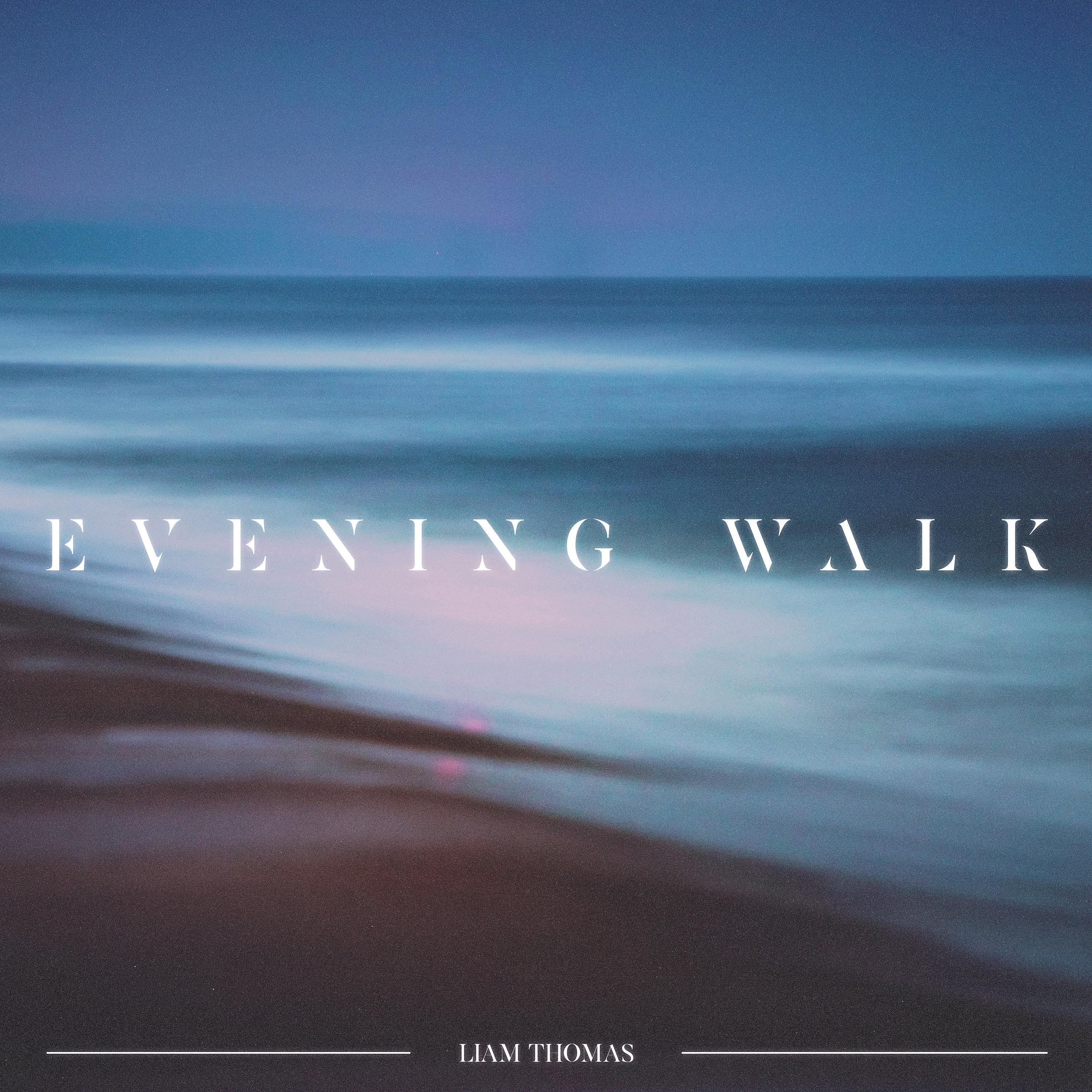 Постер альбома Evening Walk
