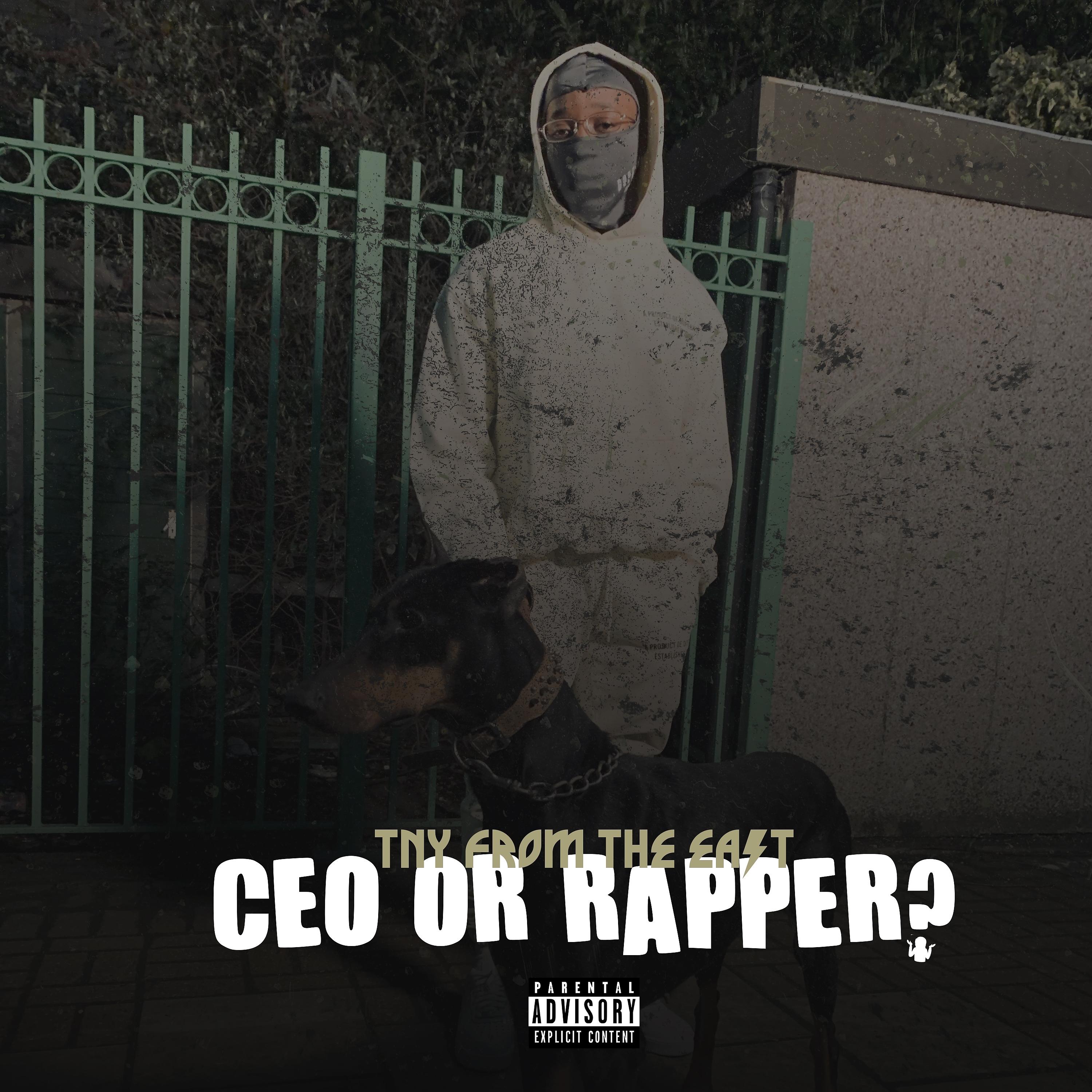 Постер альбома CEO or Rapper ?