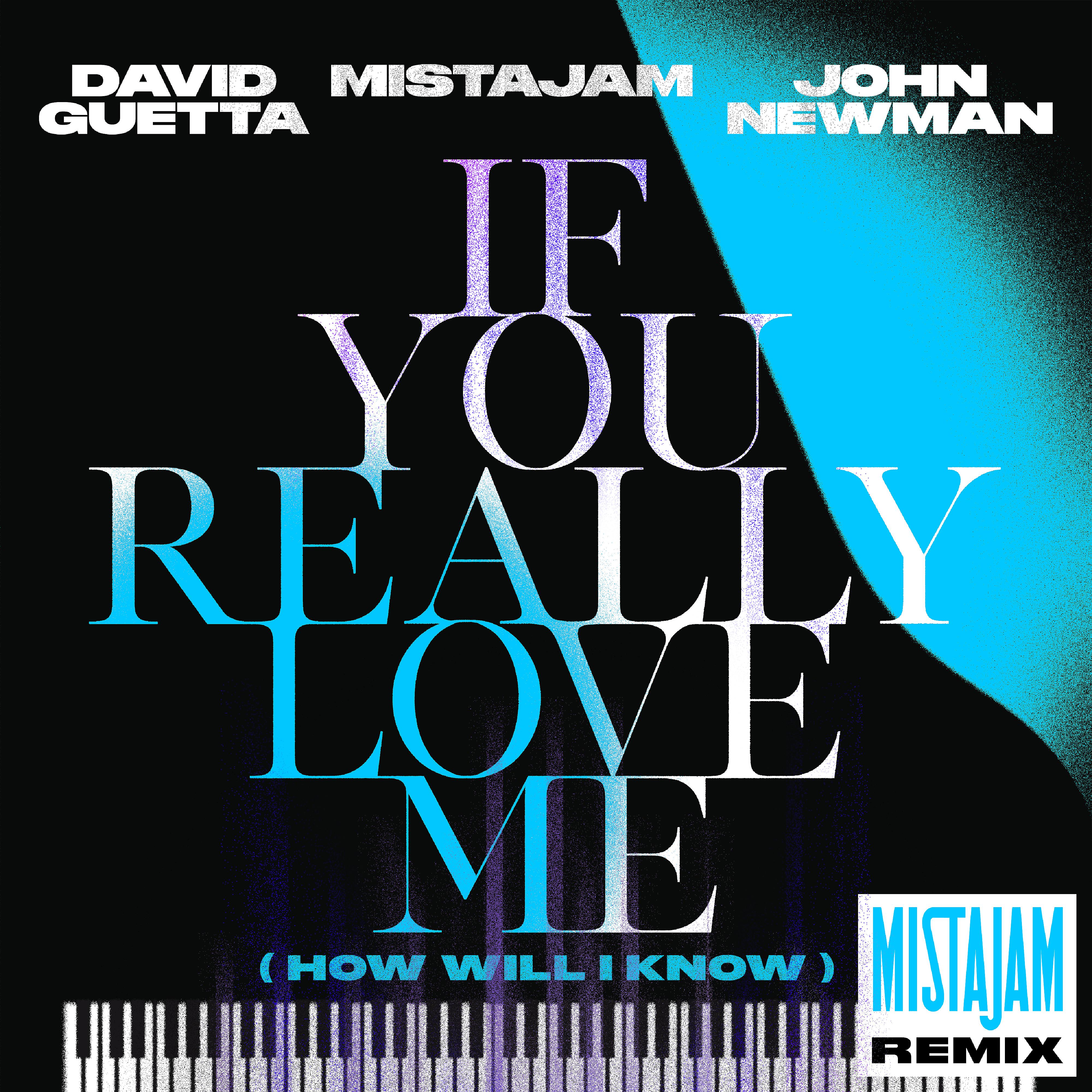Постер альбома If You Really Love Me (How Will I Know) [MistaJam Remix]