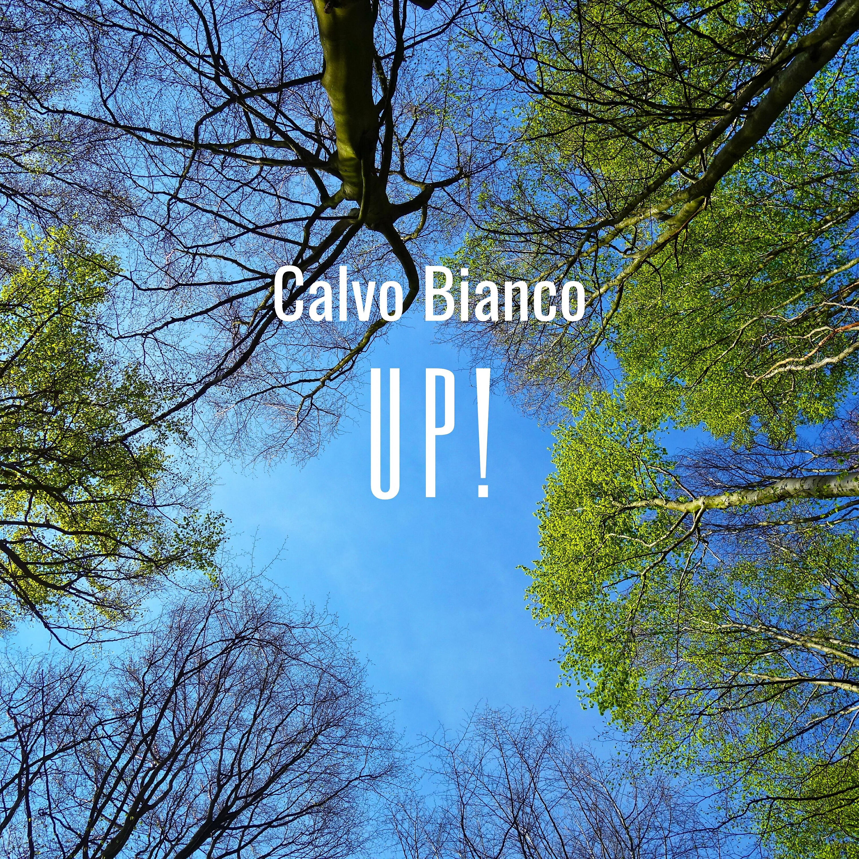Calvo Bianco - Up!
