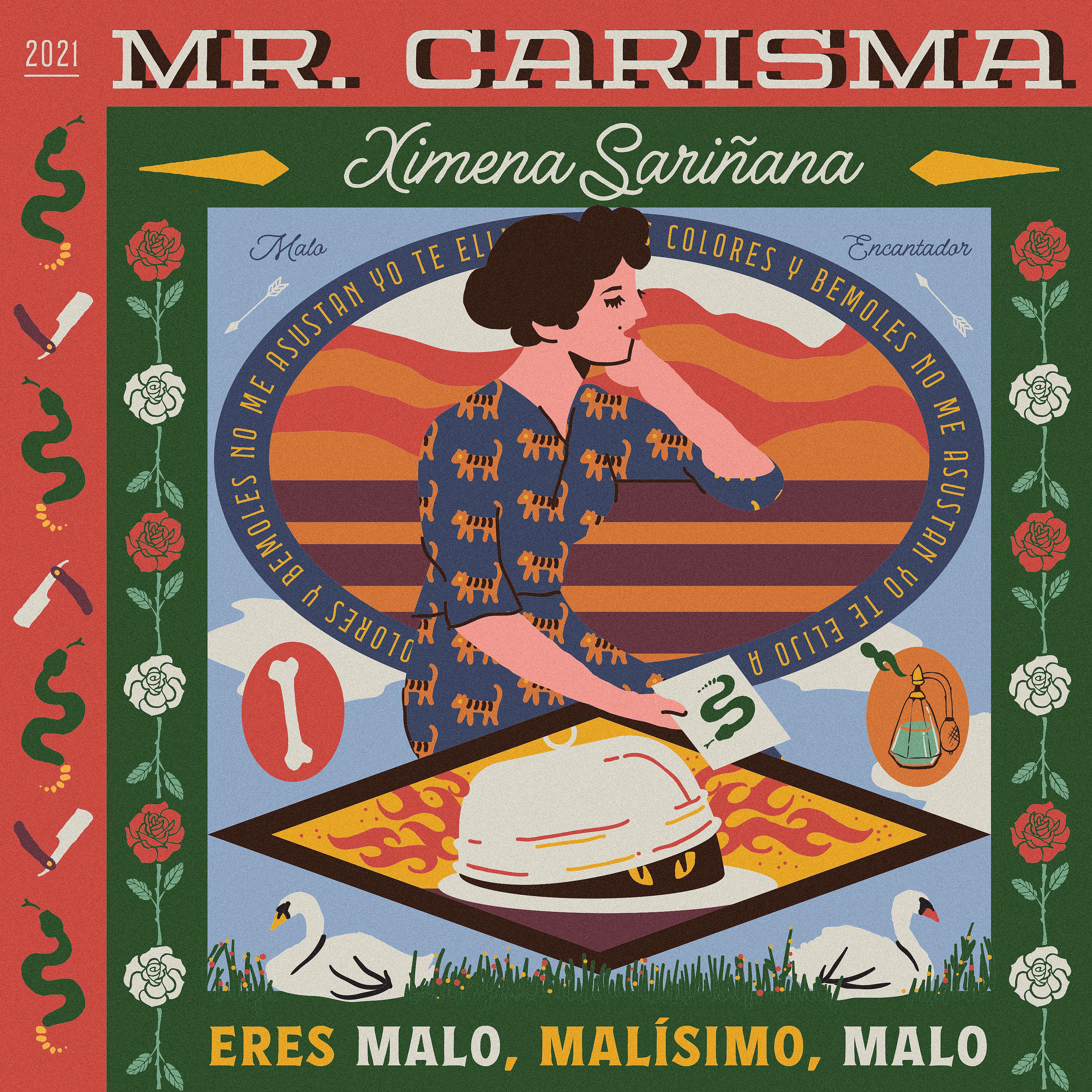Постер альбома Mr. Carisma