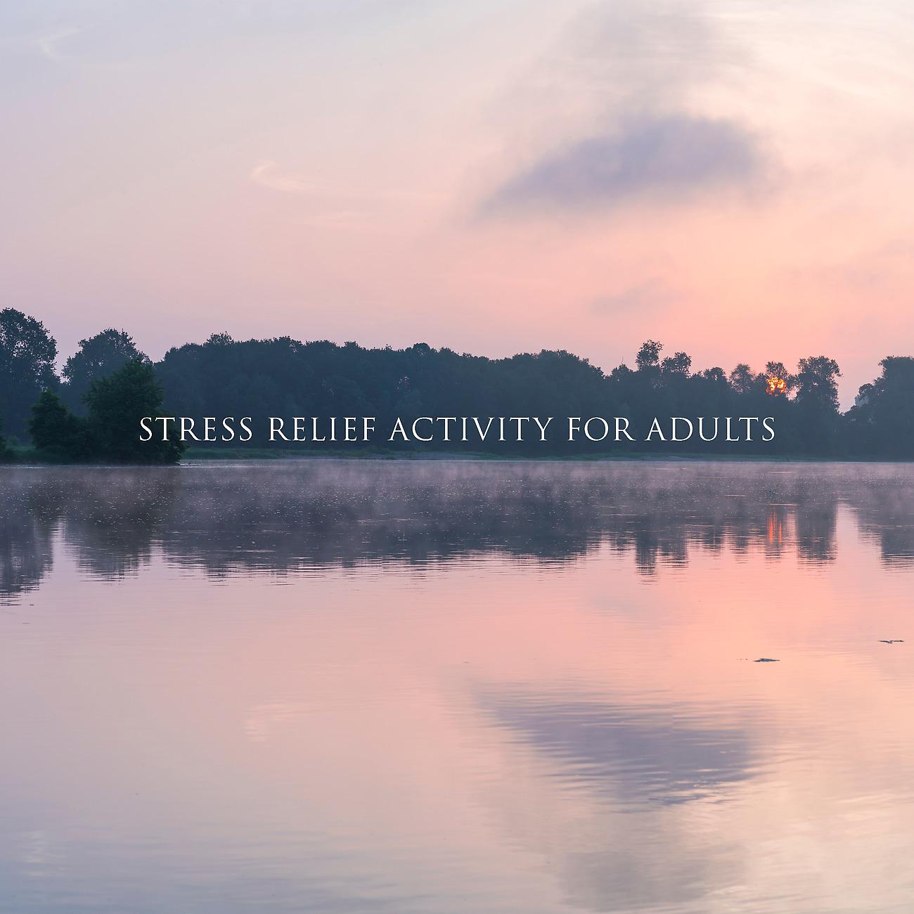 Постер альбома Stress Relief Activity for Adults