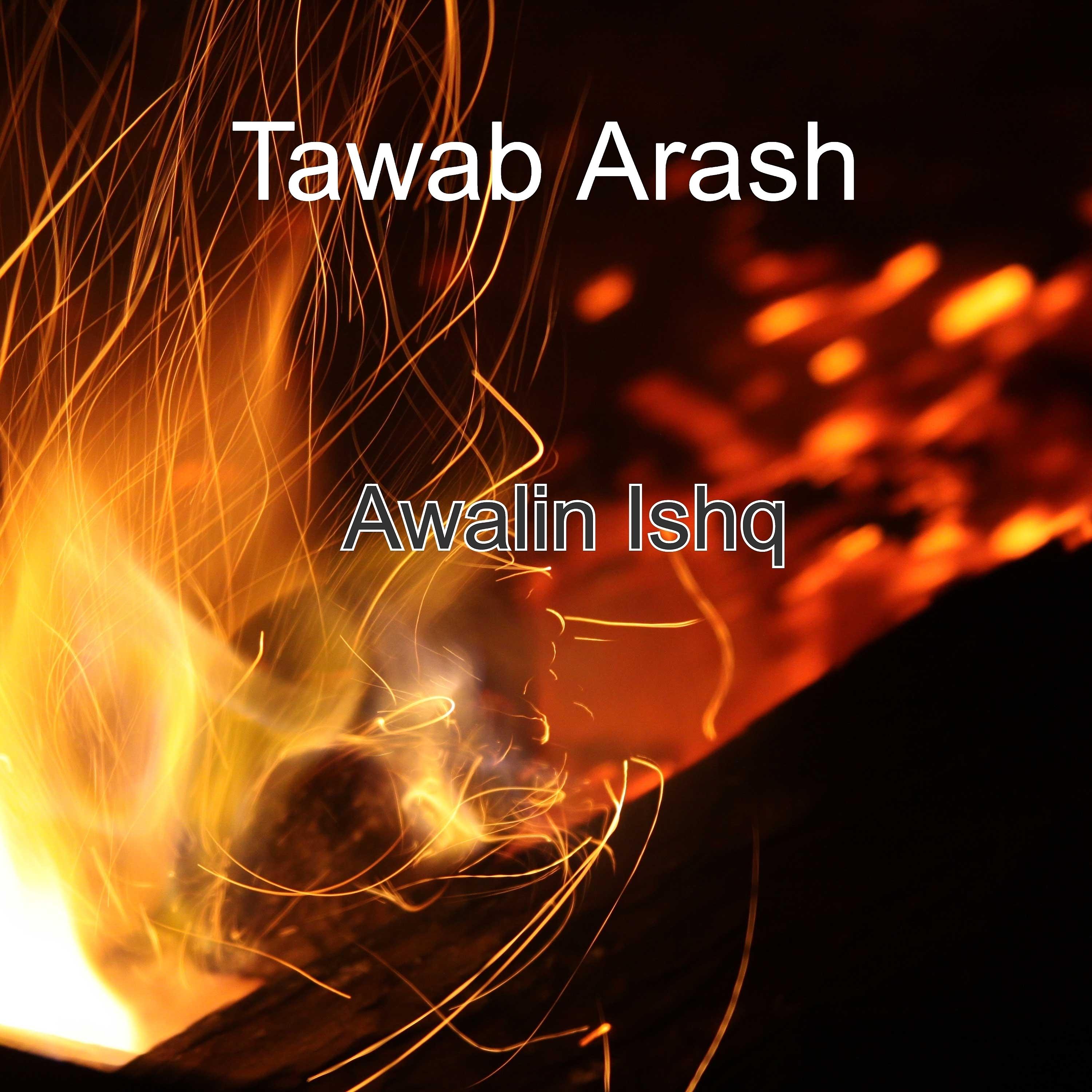 Постер альбома Awalin Ishq