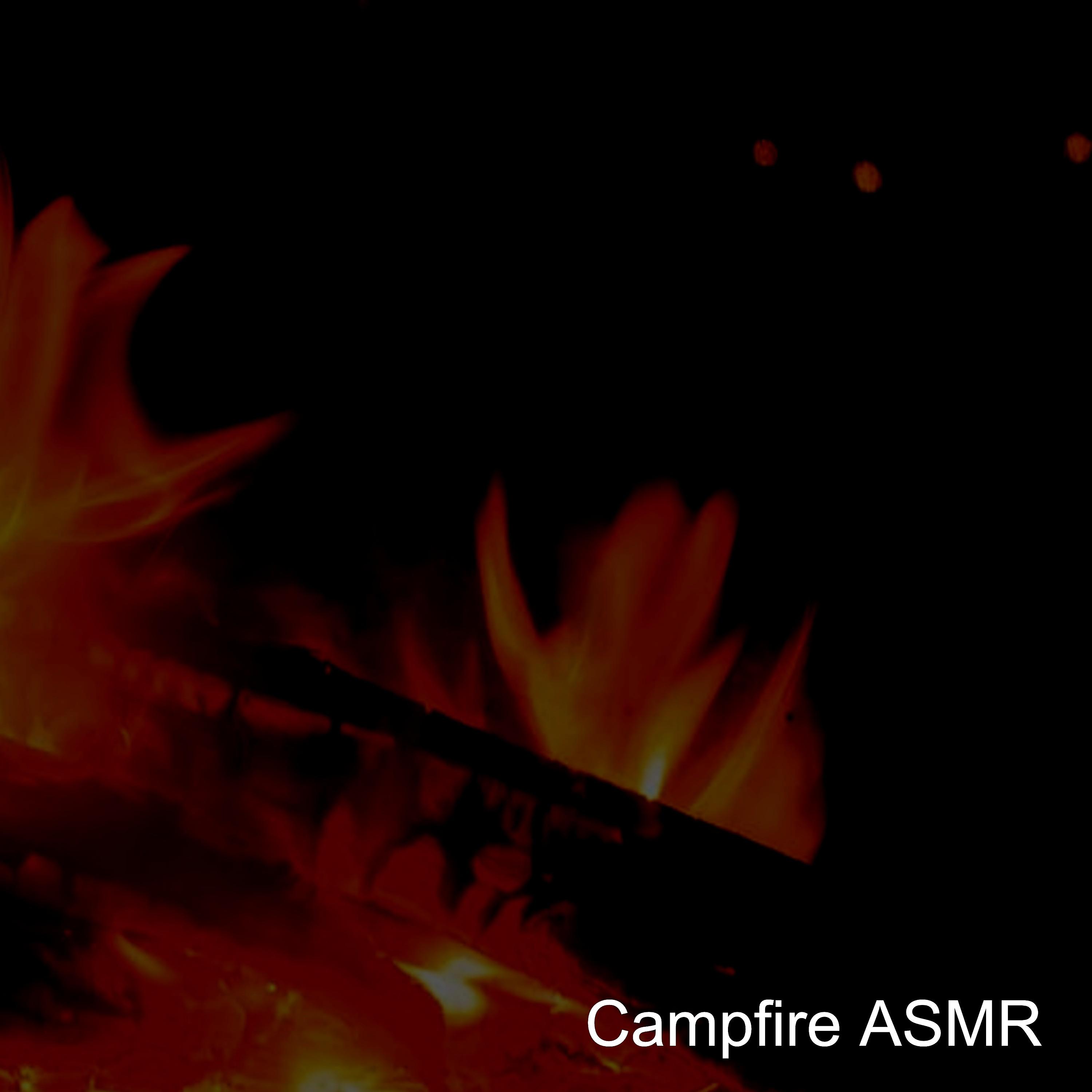 Постер альбома Campfire ASMR