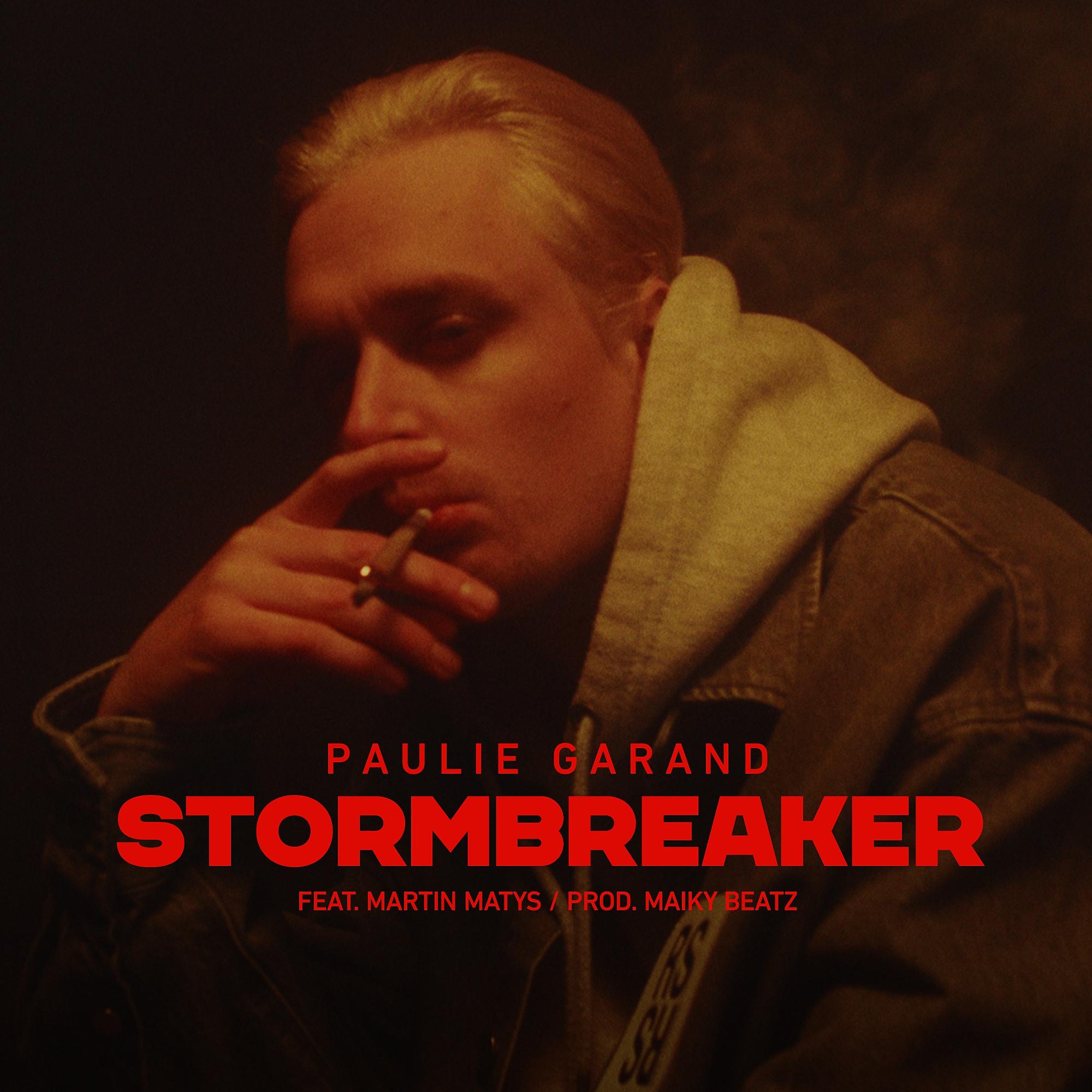 Постер альбома Stormbreaker (feat. Martin Matys)