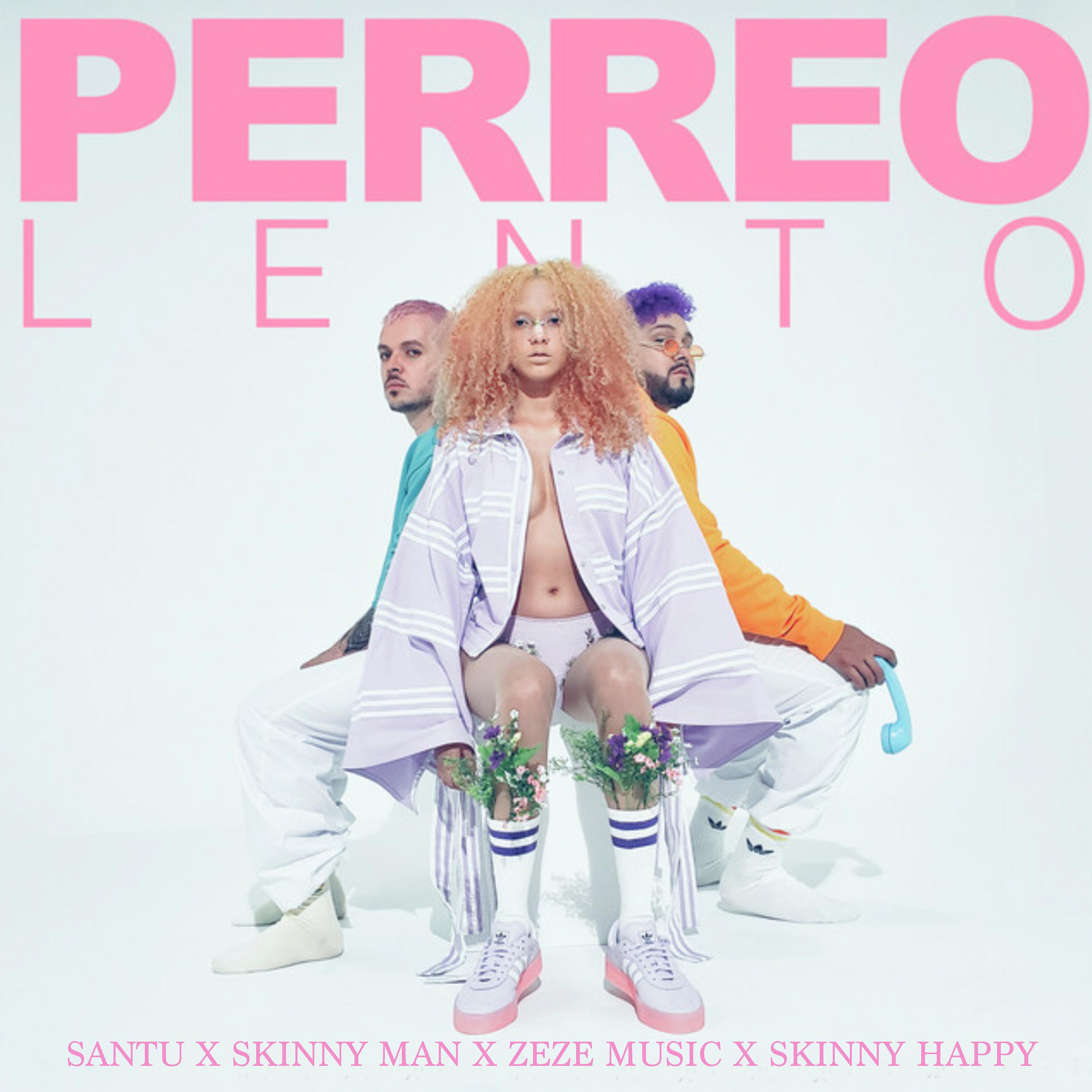 Постер альбома Perreo Lento