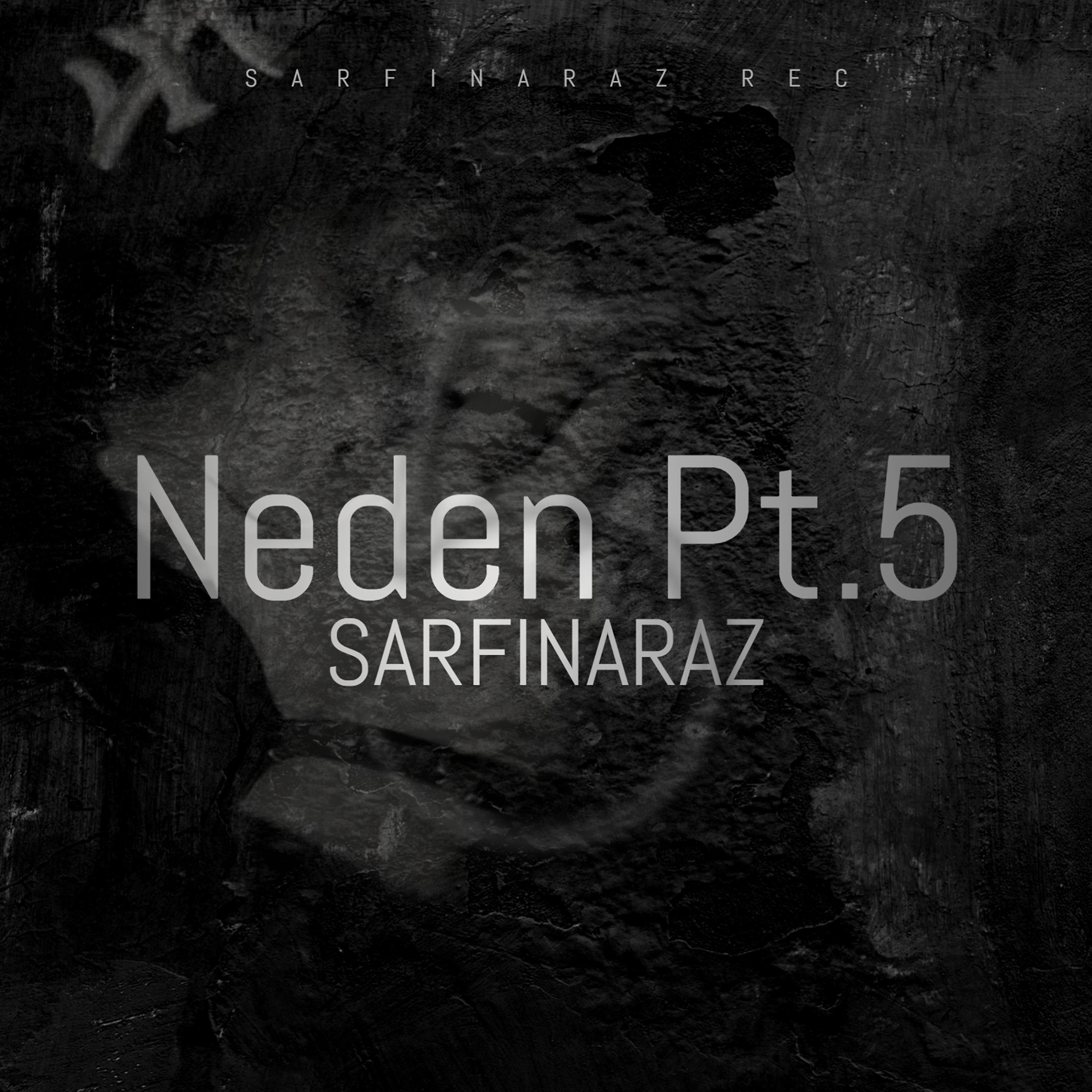 Постер альбома Neden Pt.5