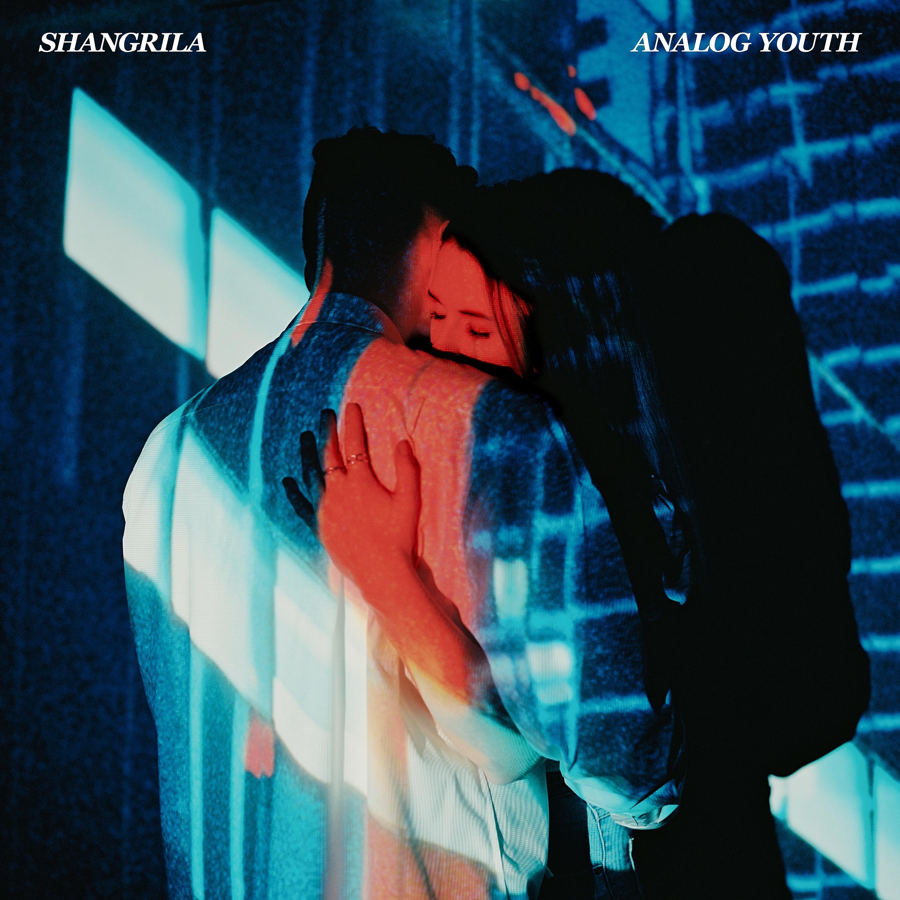 Постер альбома Analog Youth