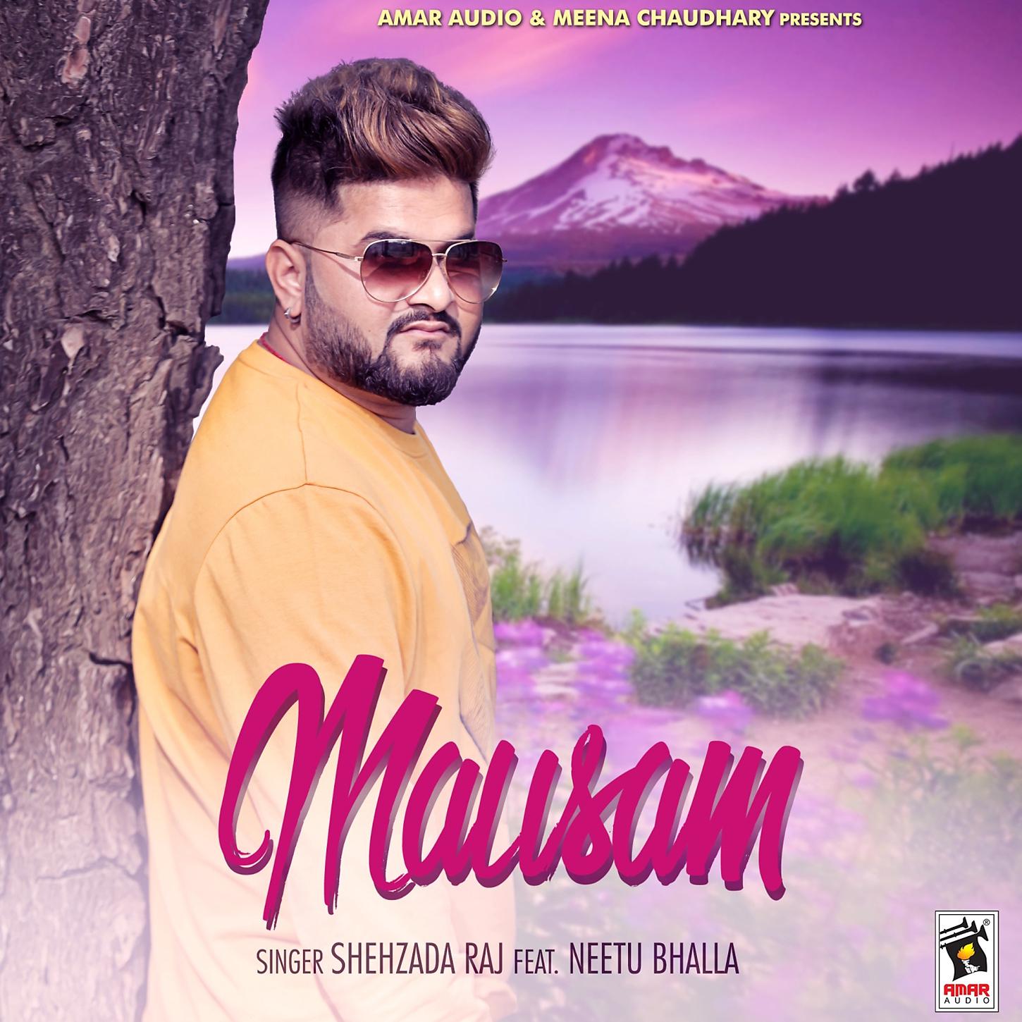 Постер альбома Mausam (feat. Neetu Bhalla)