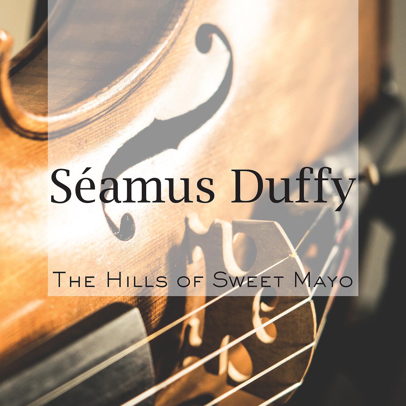 Séamus Duffy - The Coast of Malabar