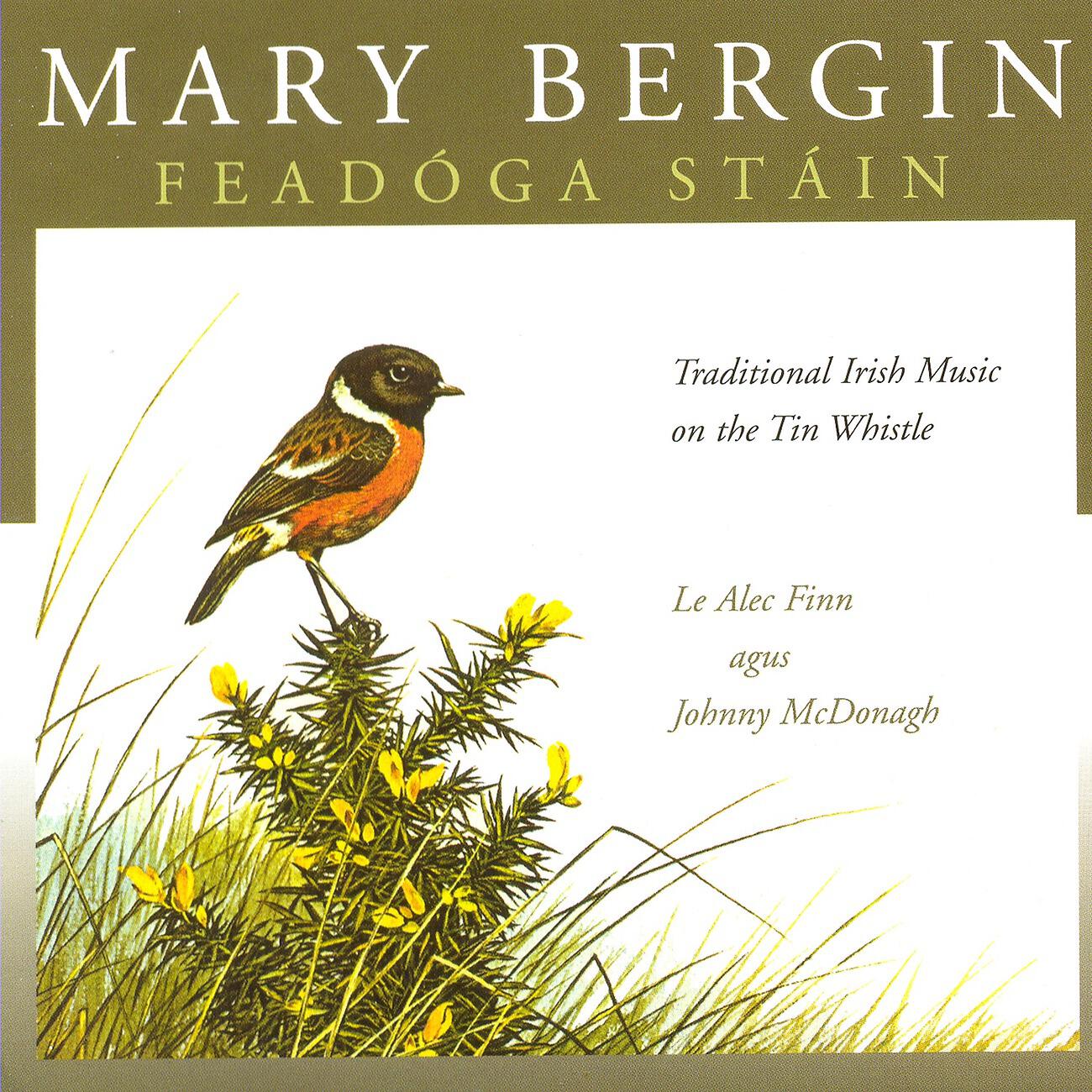 Mary Bergin - Kitty Gone A-Milking / Last Night's Fun / The Wind That Shakes the Barley