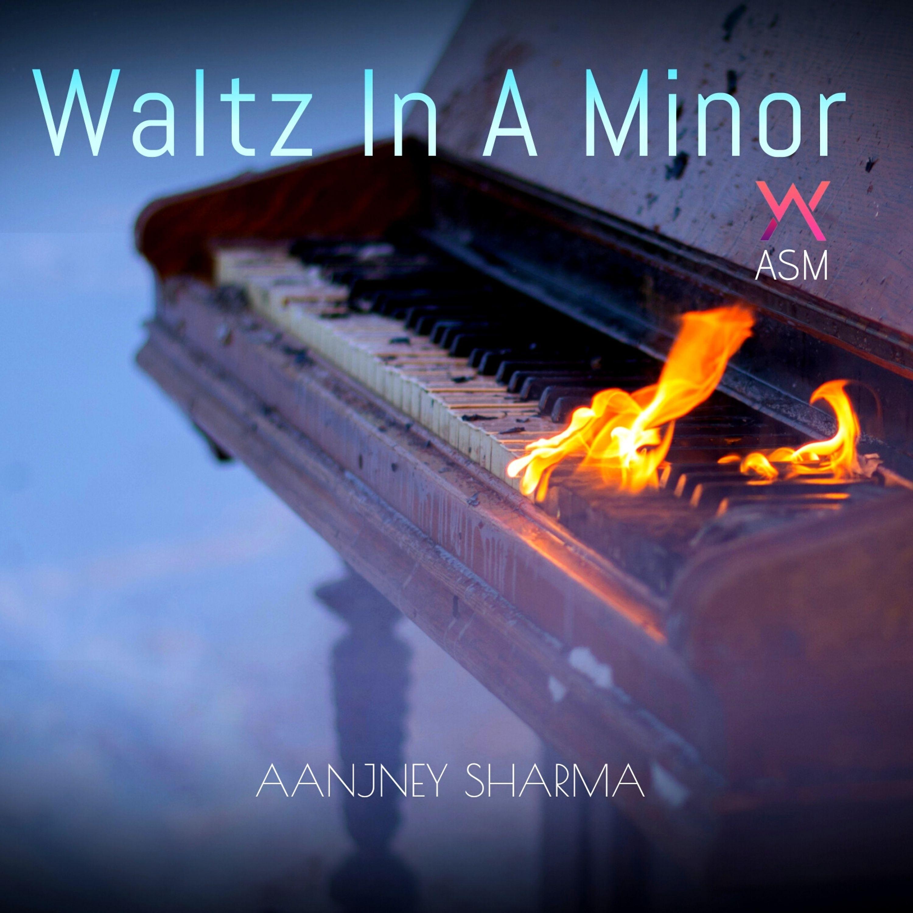 Постер альбома Chopin Waltz in a Minor