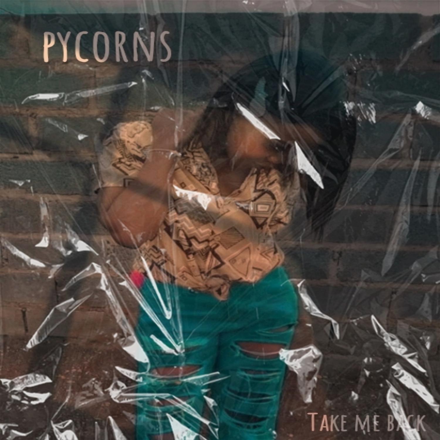 Постер альбома Take me back (Caden P & pycorns Remix)