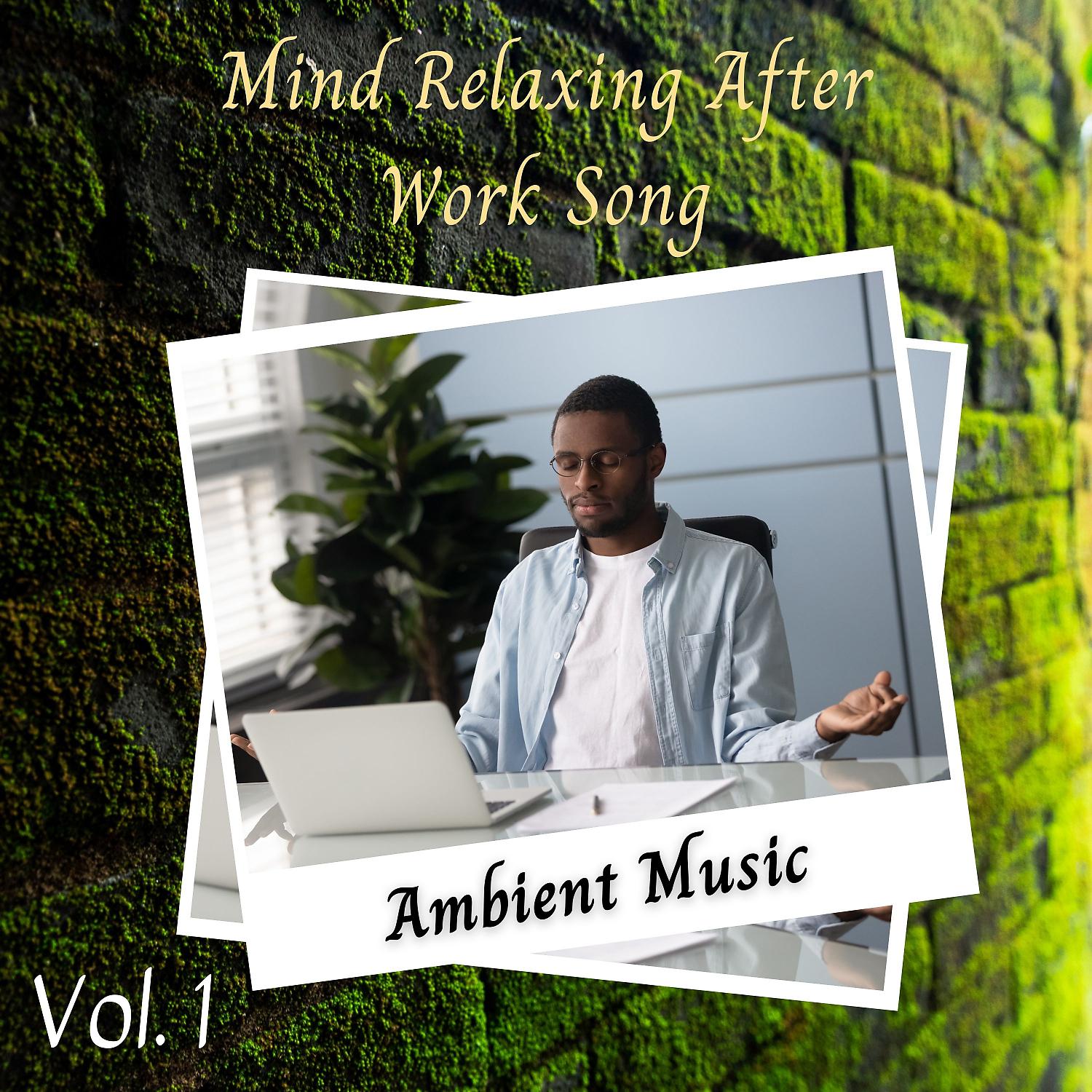Постер альбома Ambient Music: Mind Relaxing After Work Song Vol. 1
