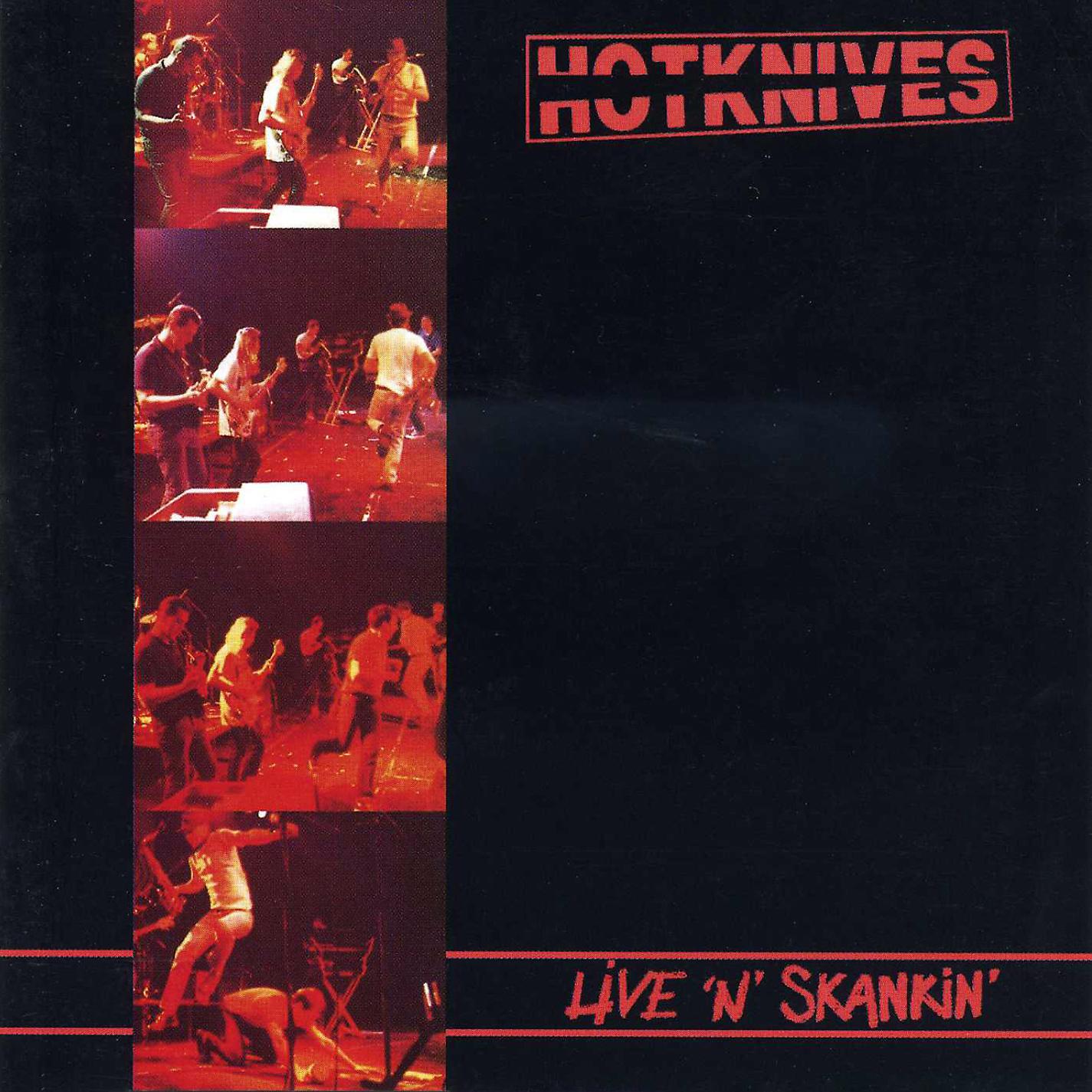 Постер альбома Live 'N' Skankin'