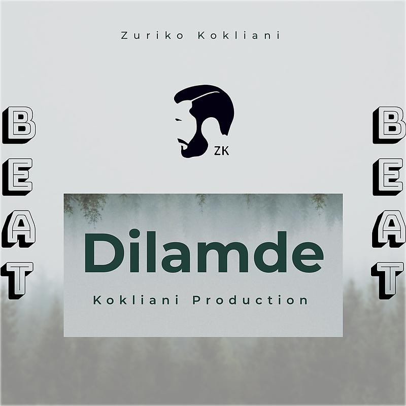 Постер альбома Dilamde (Instrumental)