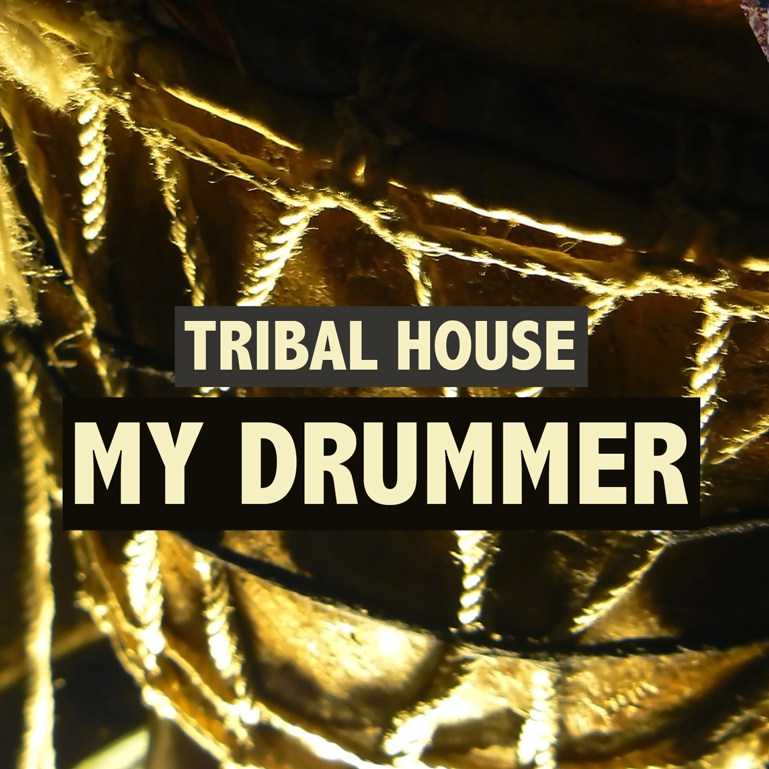 DJ Transformer - Shedclub (Tribal Mix)